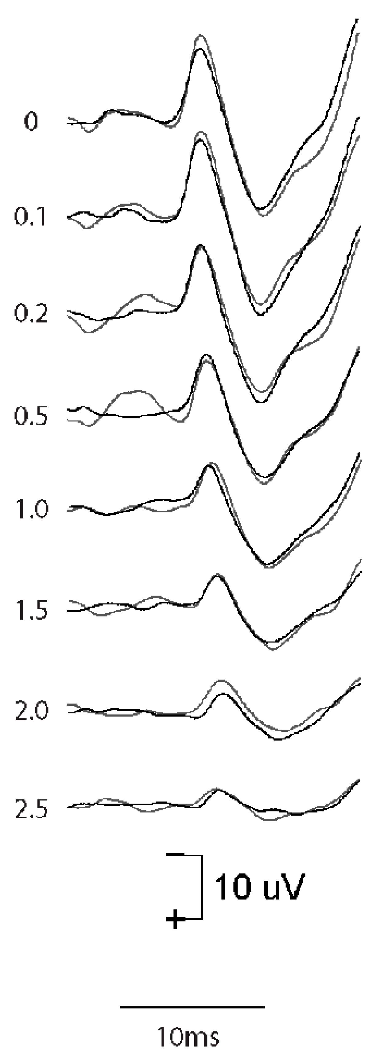 Audiolres 13 00079 g008 Audiolres 13 00079 g008