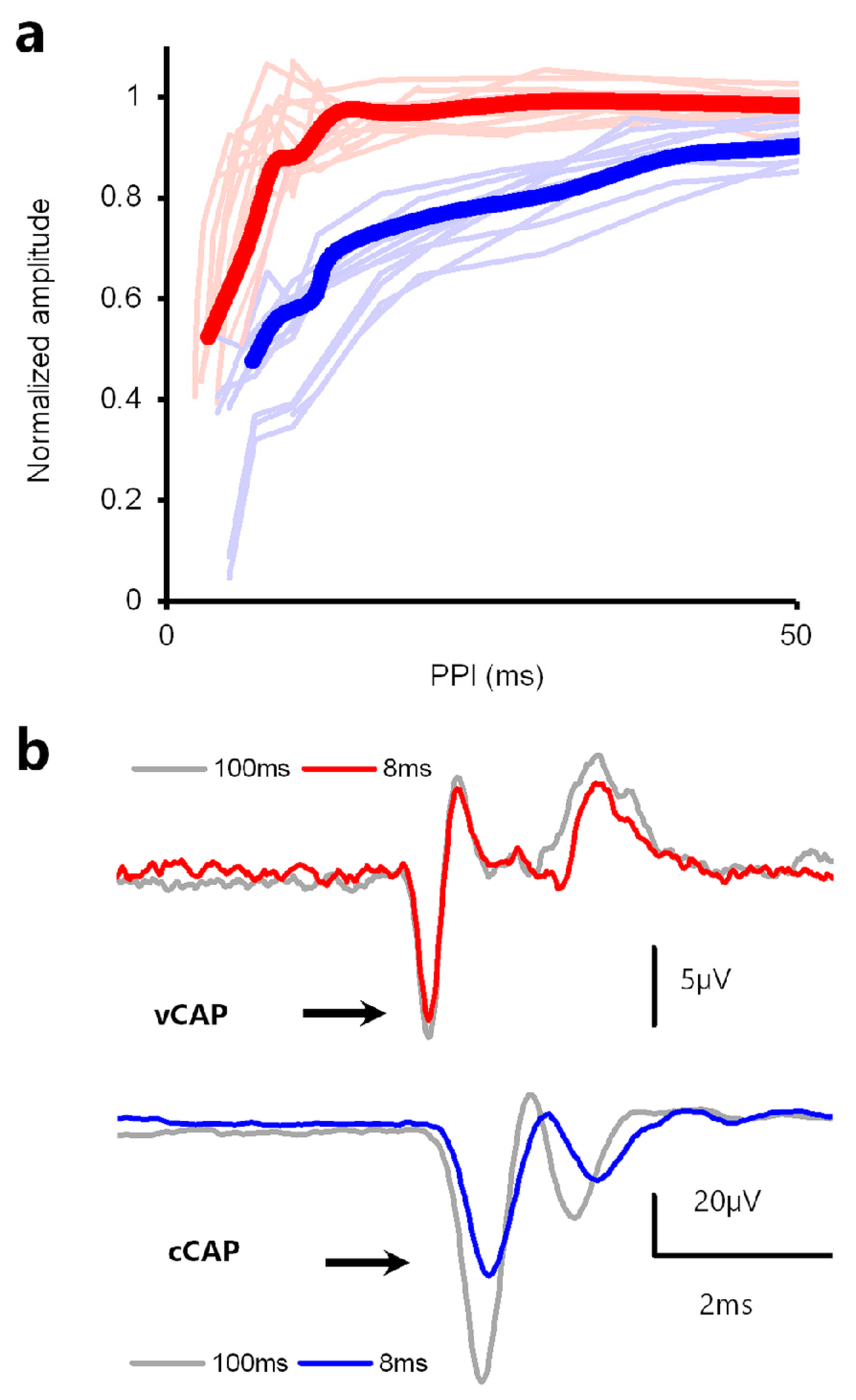 Audiolres 13 00079 g010 Audiolres 13 00079 g010
