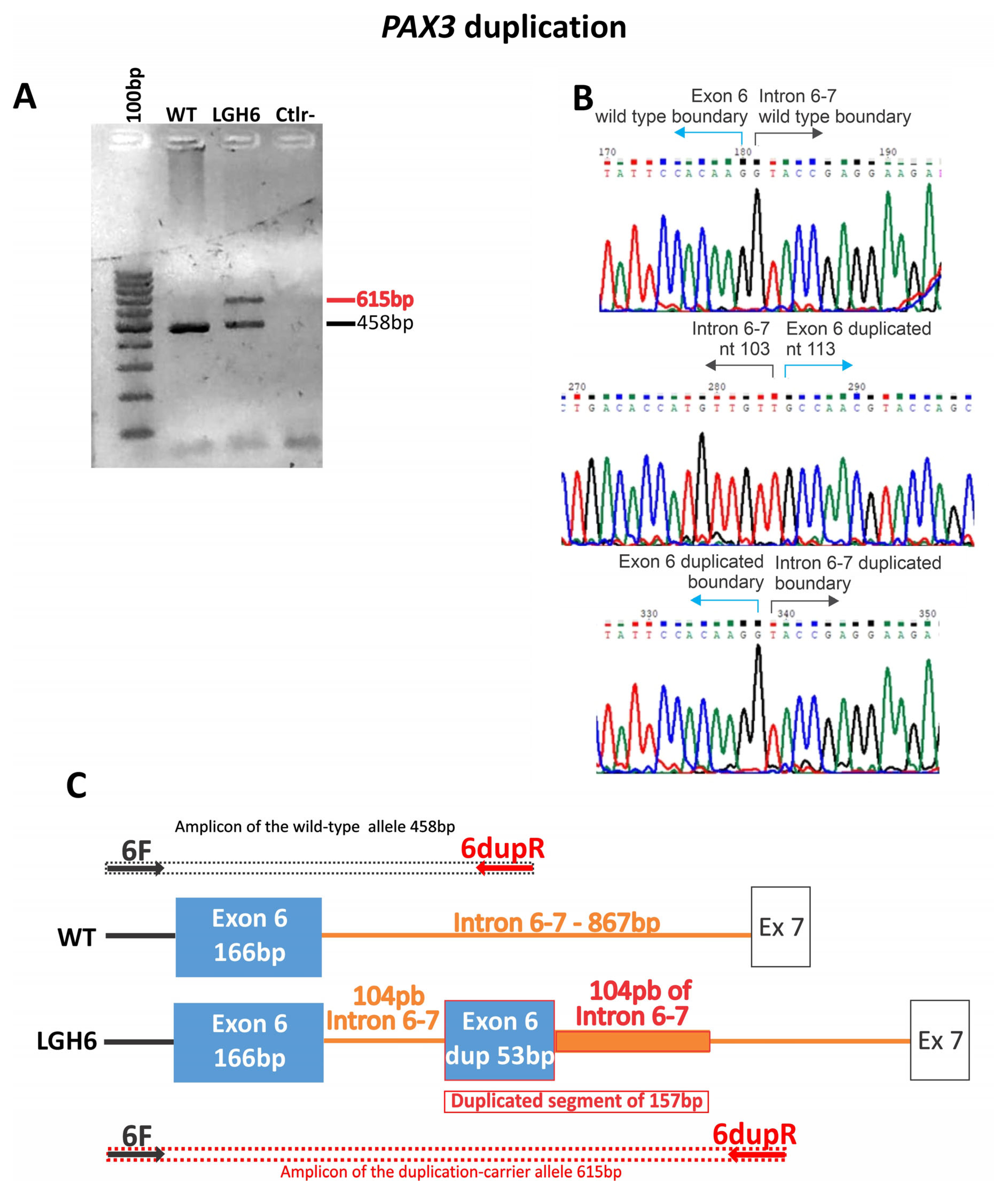 Cassidy and Allanson's Management of Genetic Syndromes