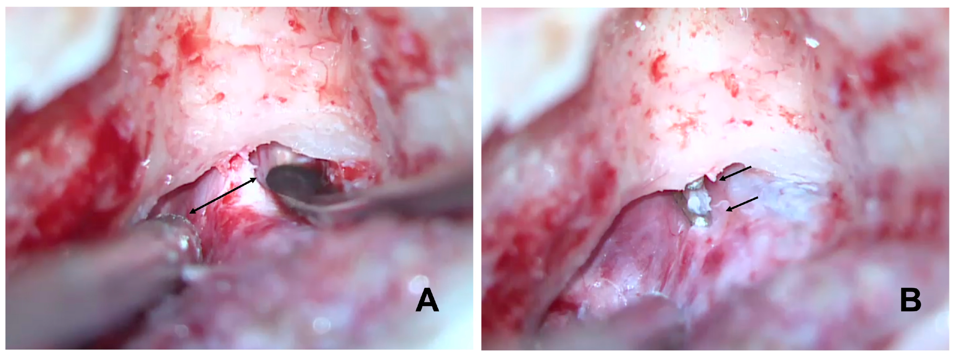 Audiolres 14 00027 g001