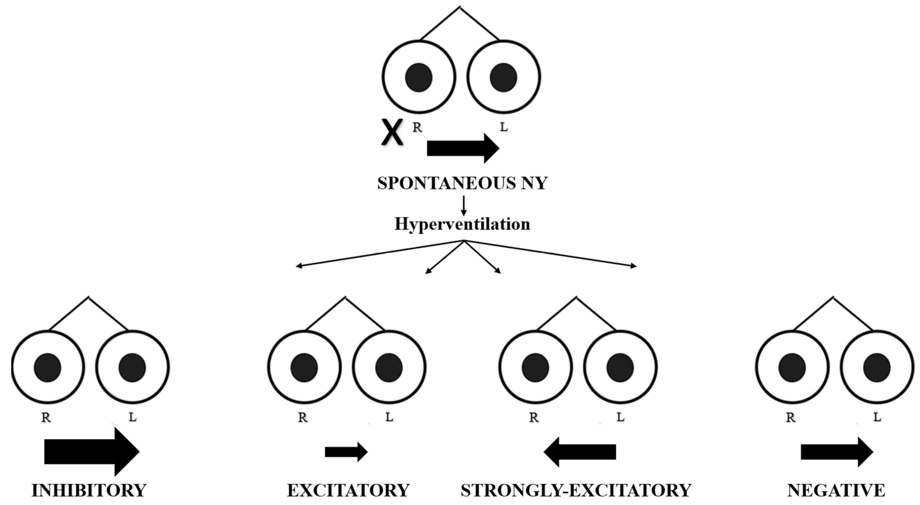 Audiolres 14 00037 g001