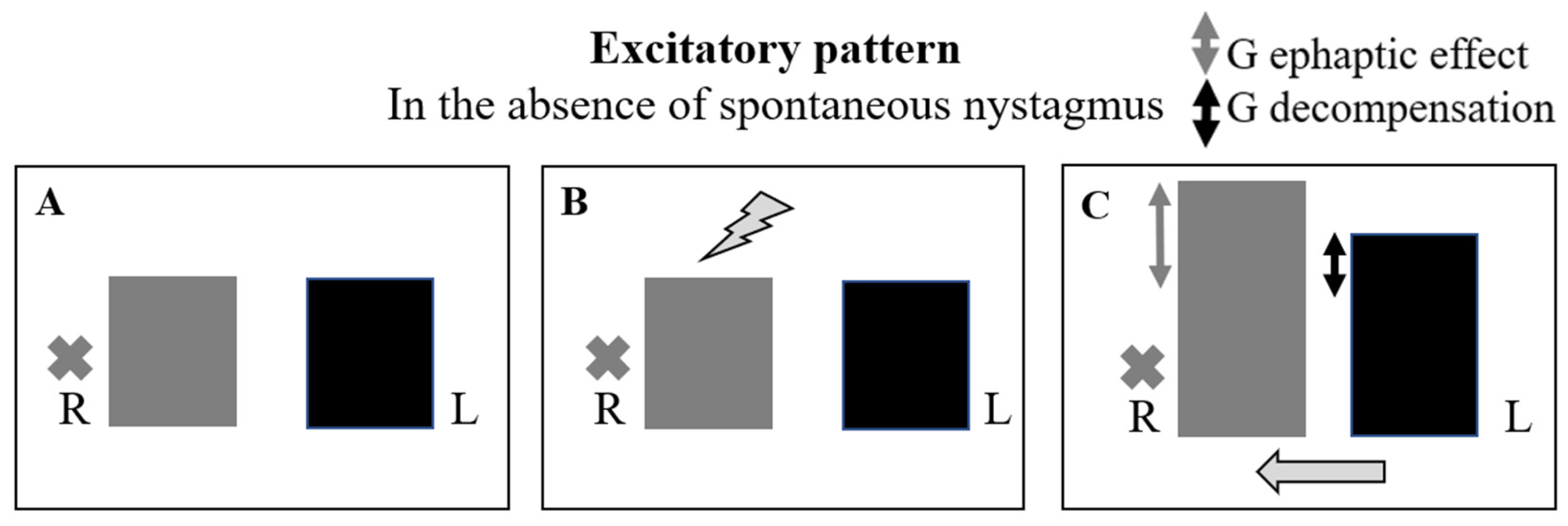 Audiolres 14 00037 g006