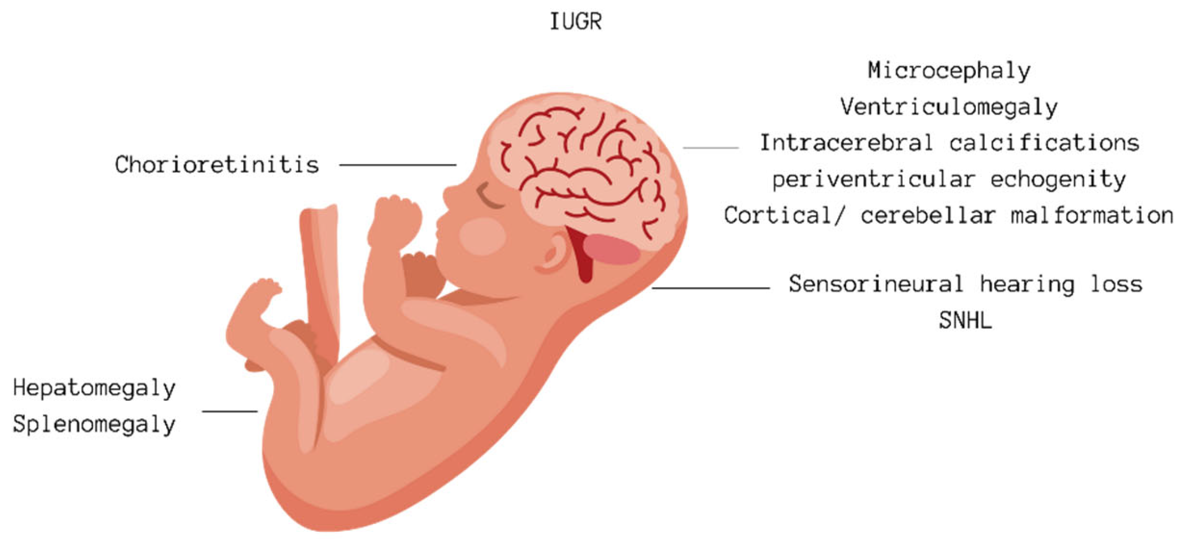 Audiolres 14 00043 g002