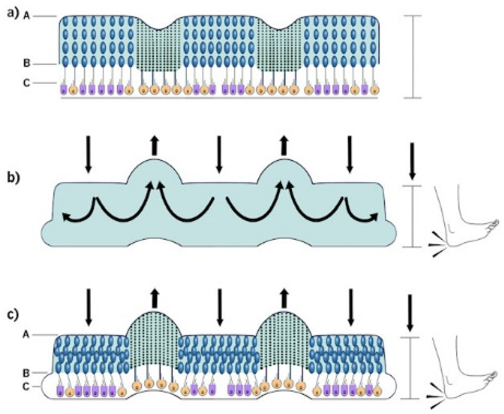 Audiolres 14 00044 g002