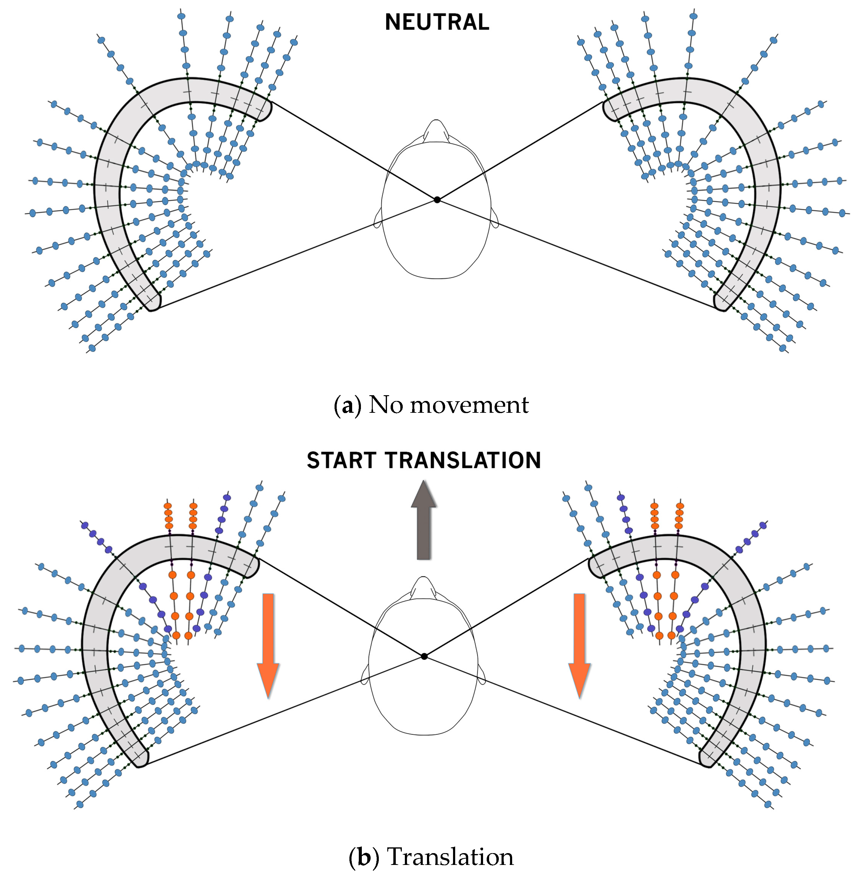 Audiolres 14 00044 g003a