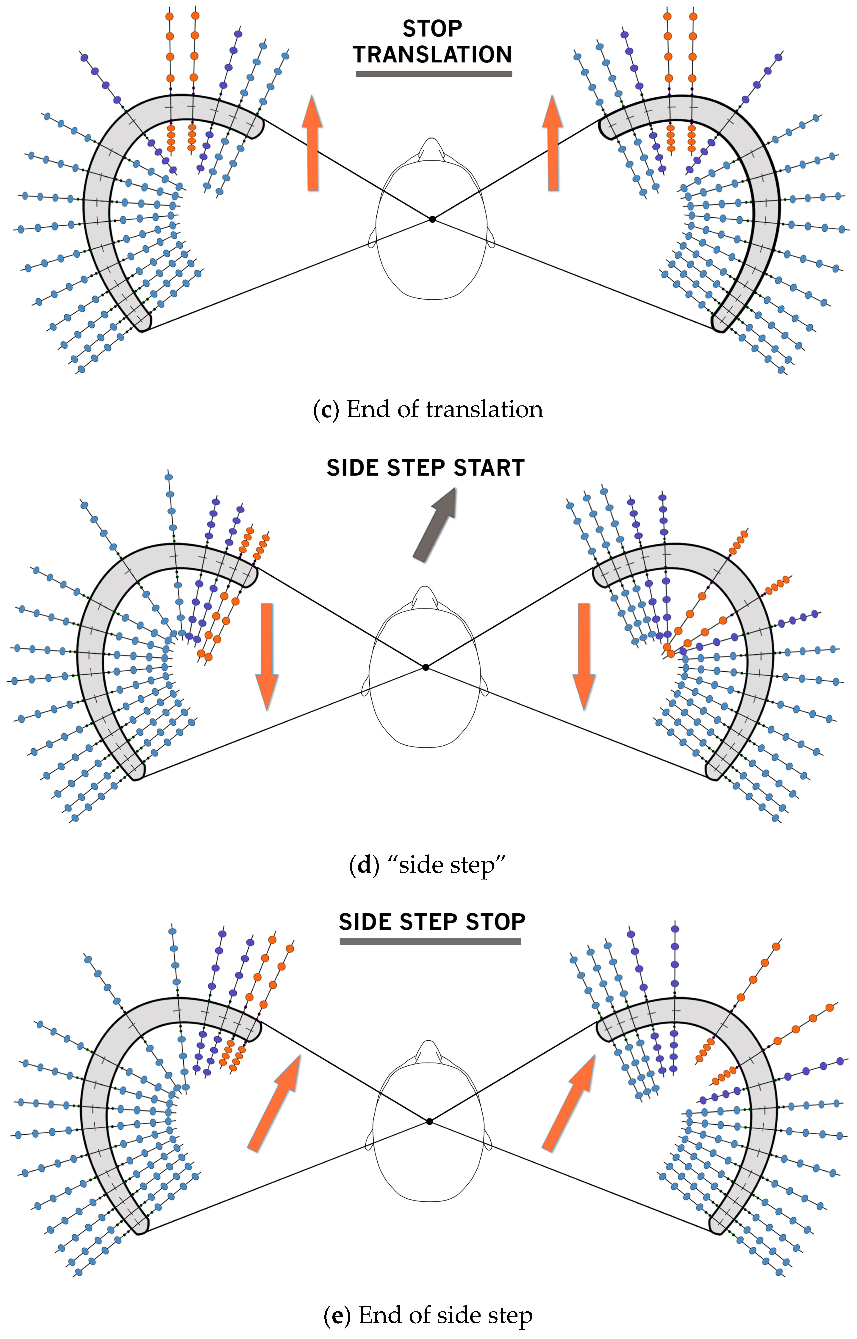 Audiolres 14 00044 g003b