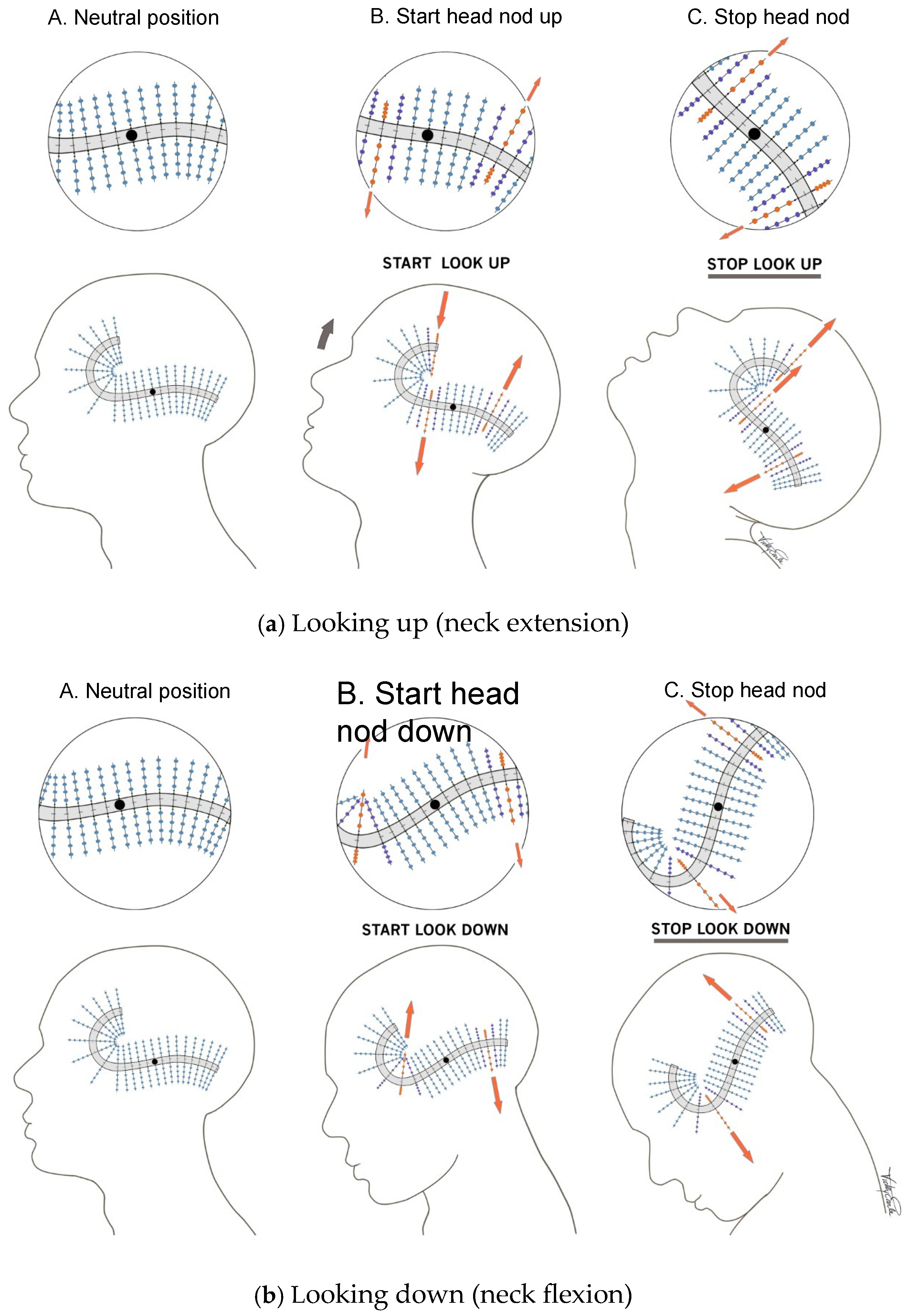 Audiolres 14 00044 g004
