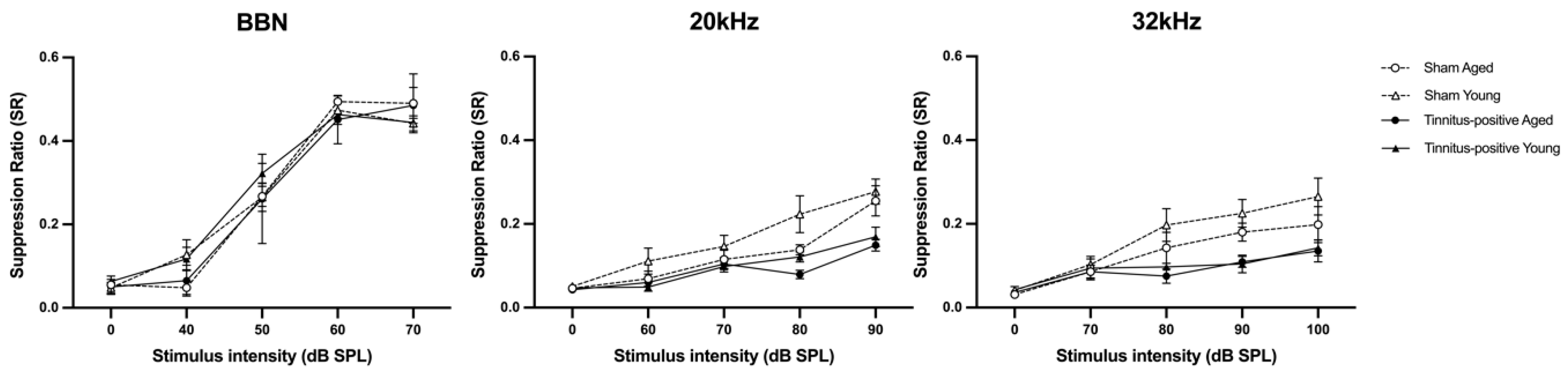 Audiolres 14 00083 g003