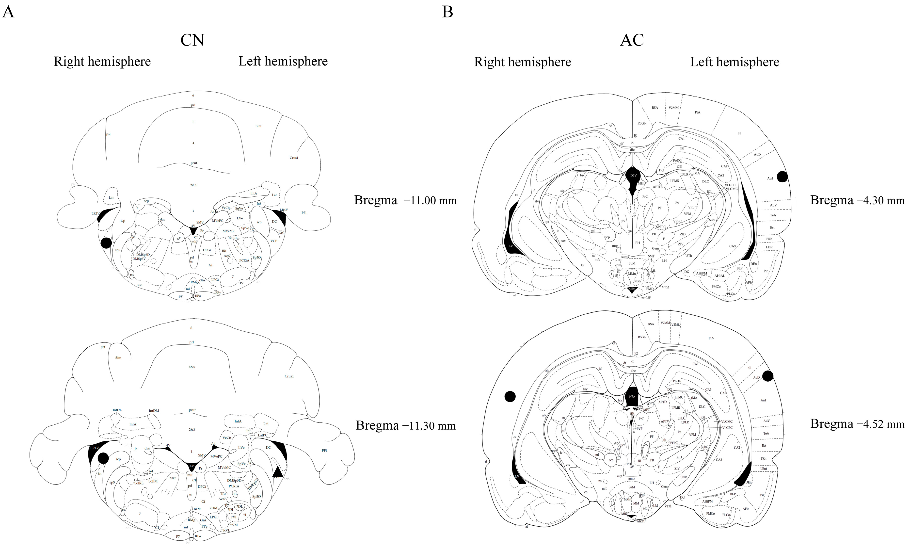 Audiolres 14 00083 g006