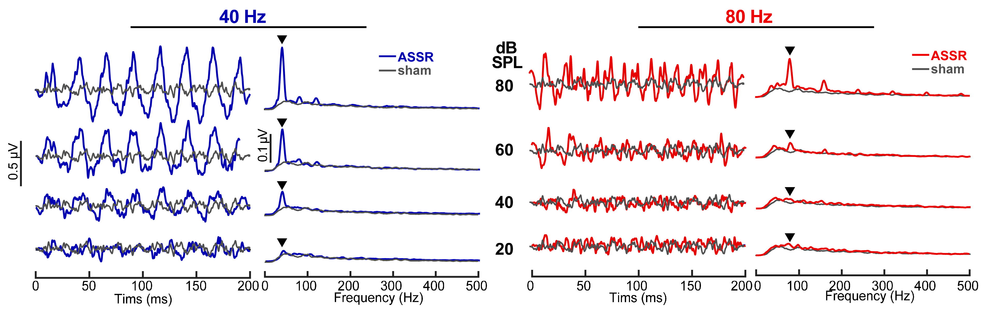 Audiolres 15 00060 g001