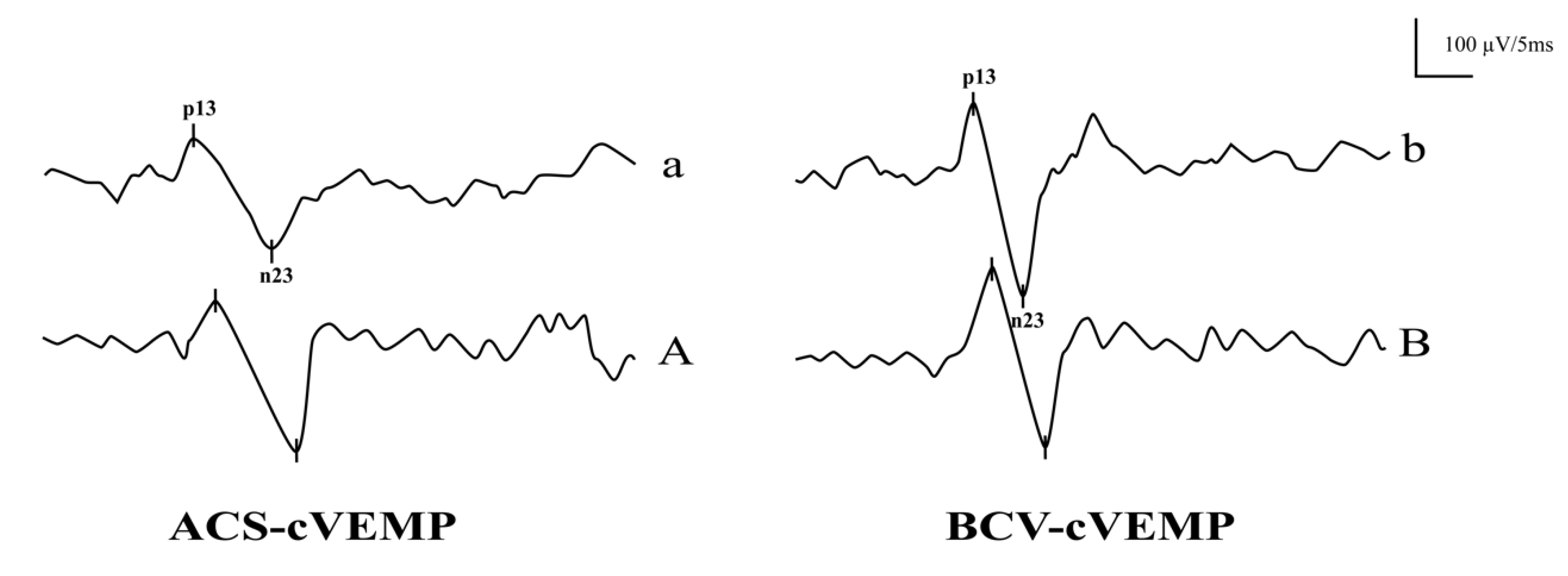 Audiolres 15 00067 g001