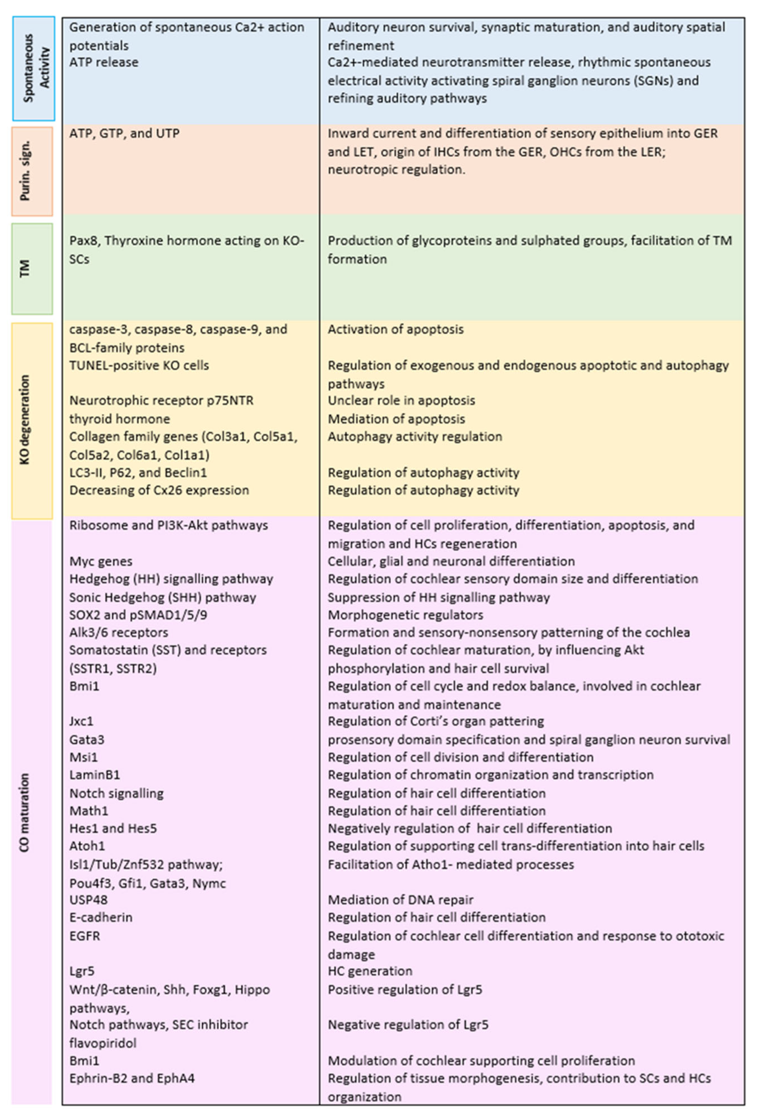 Audiolres 15 00075 g002