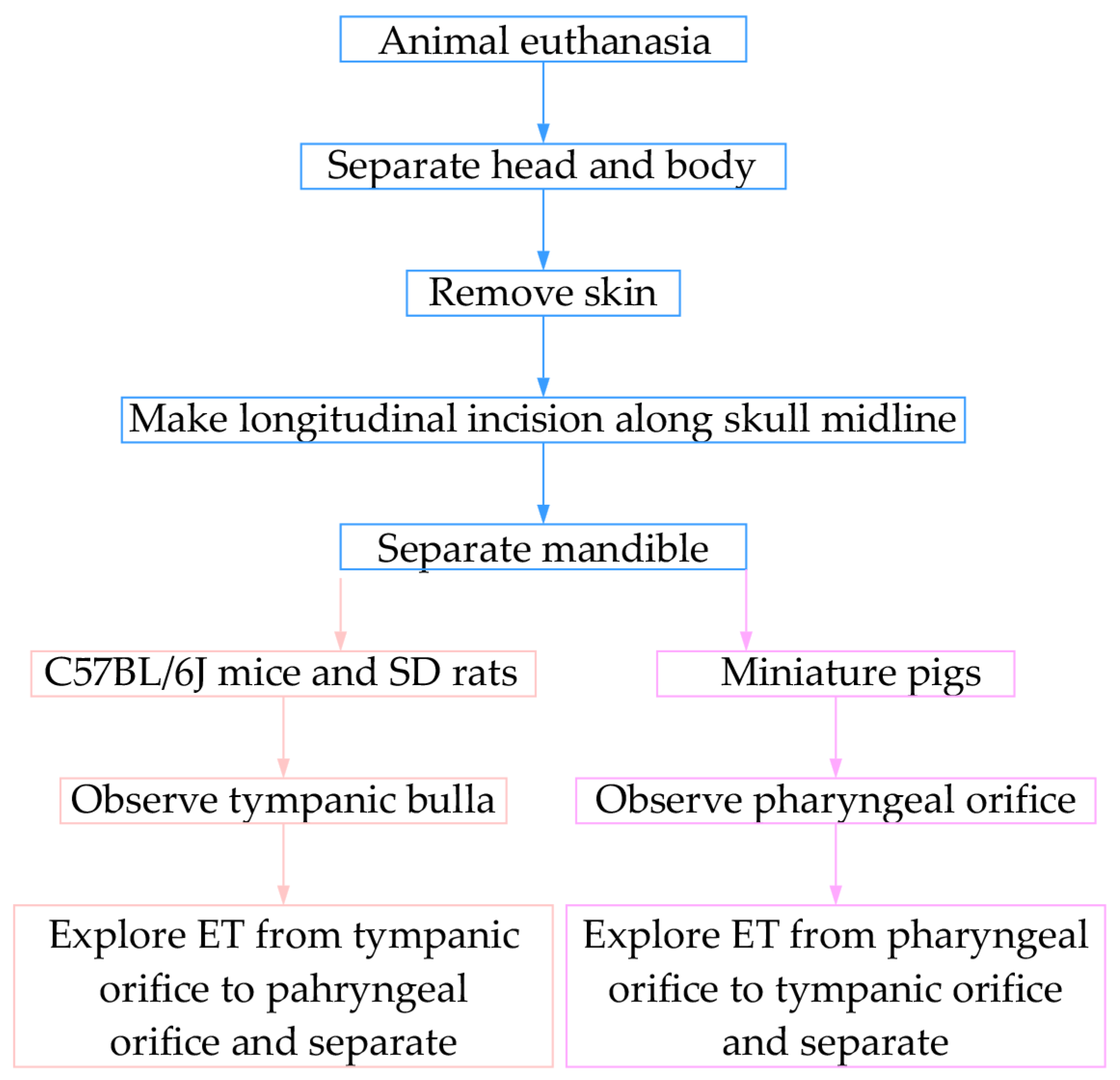 Audiolres 15 00141 g001 Audiolres 15 00141 g001