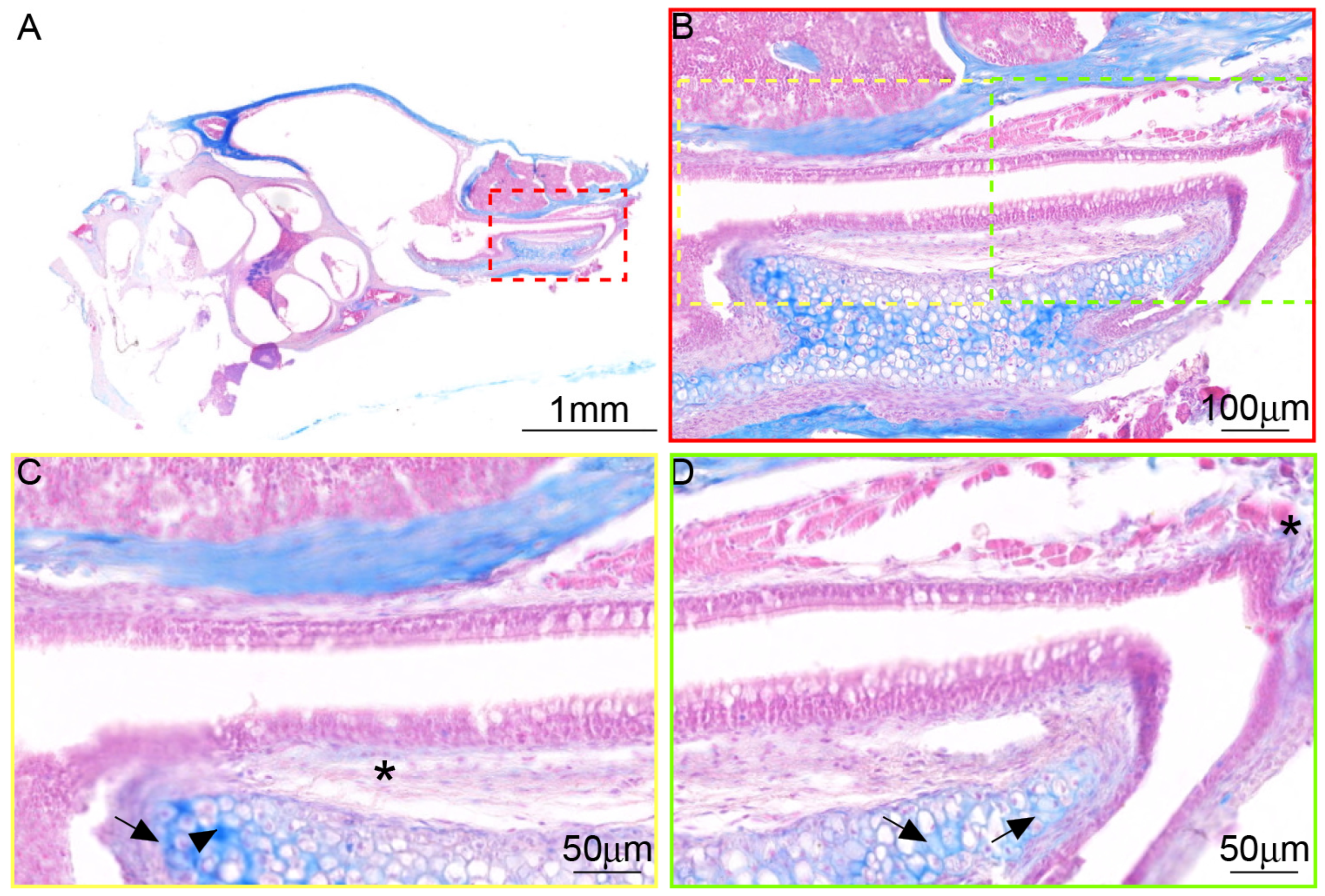 Audiolres 15 00141 g007 Audiolres 15 00141 g007