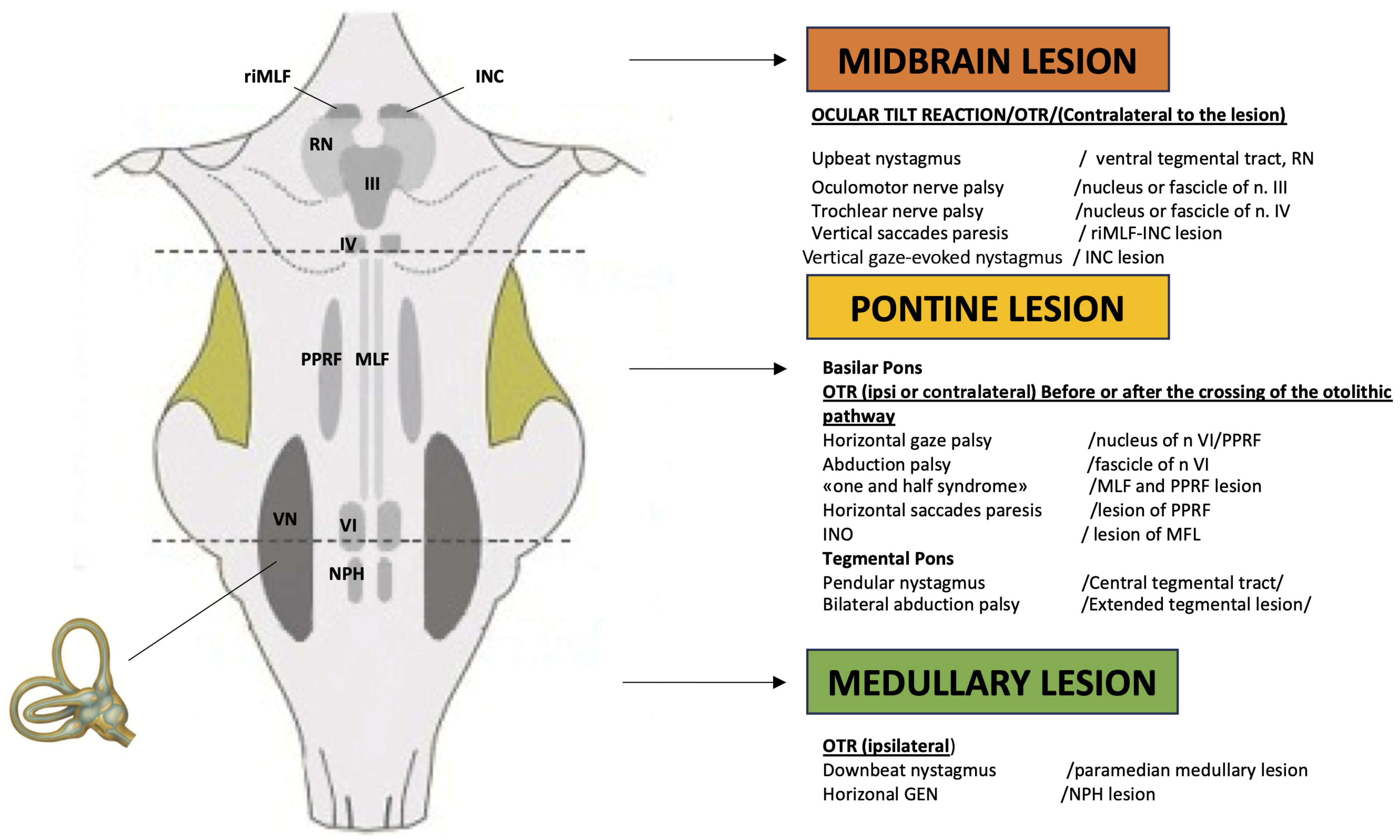 Audiolres 15 00150 g001 Audiolres 15 00150 g001