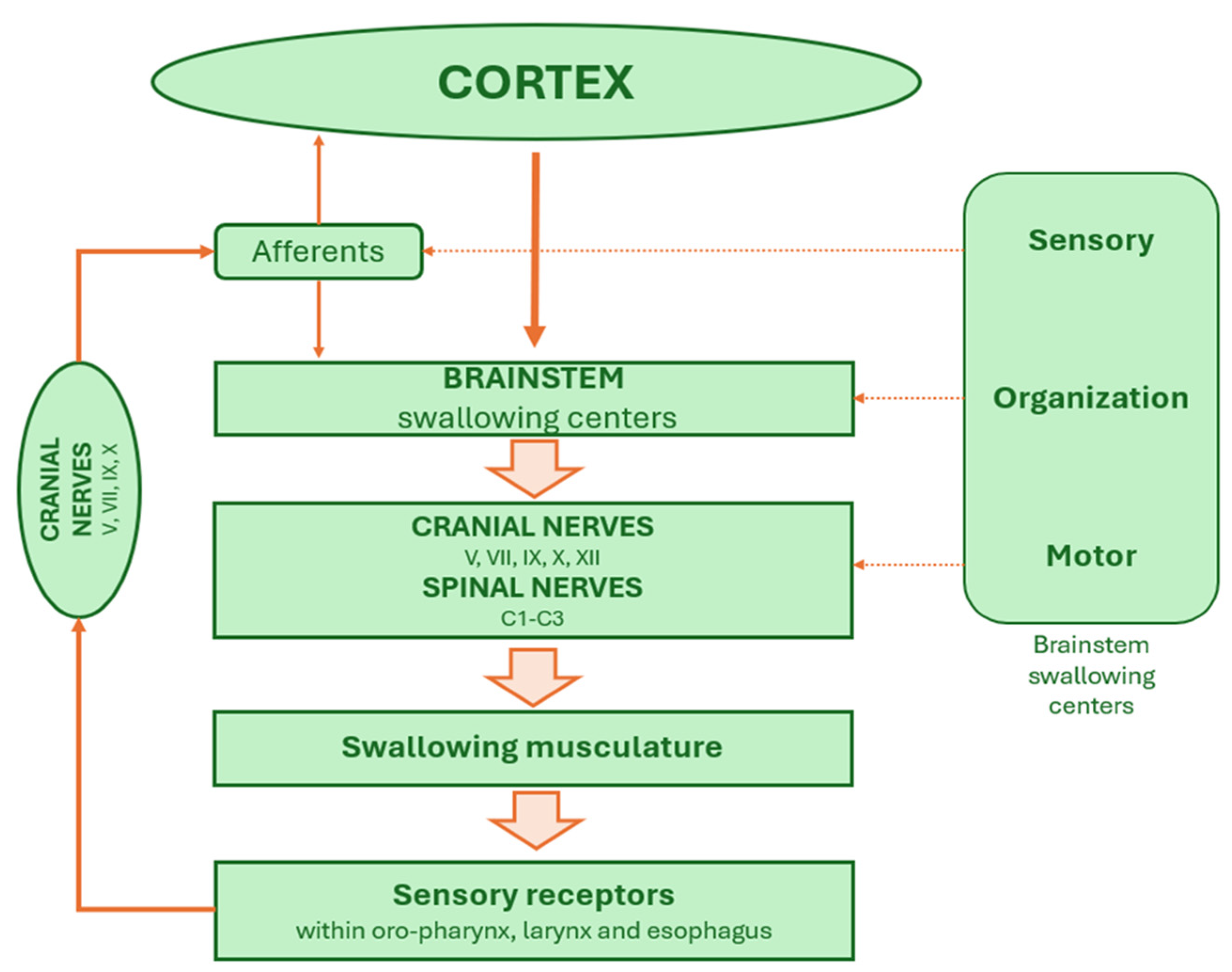 Audiolres 15 00153 g001