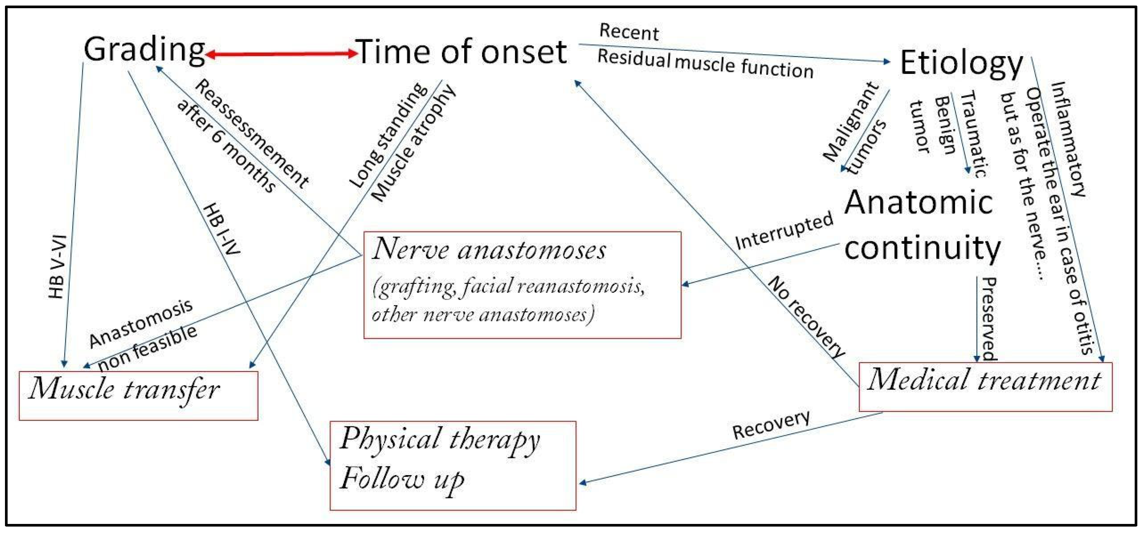Audiolres 15 00155 g001