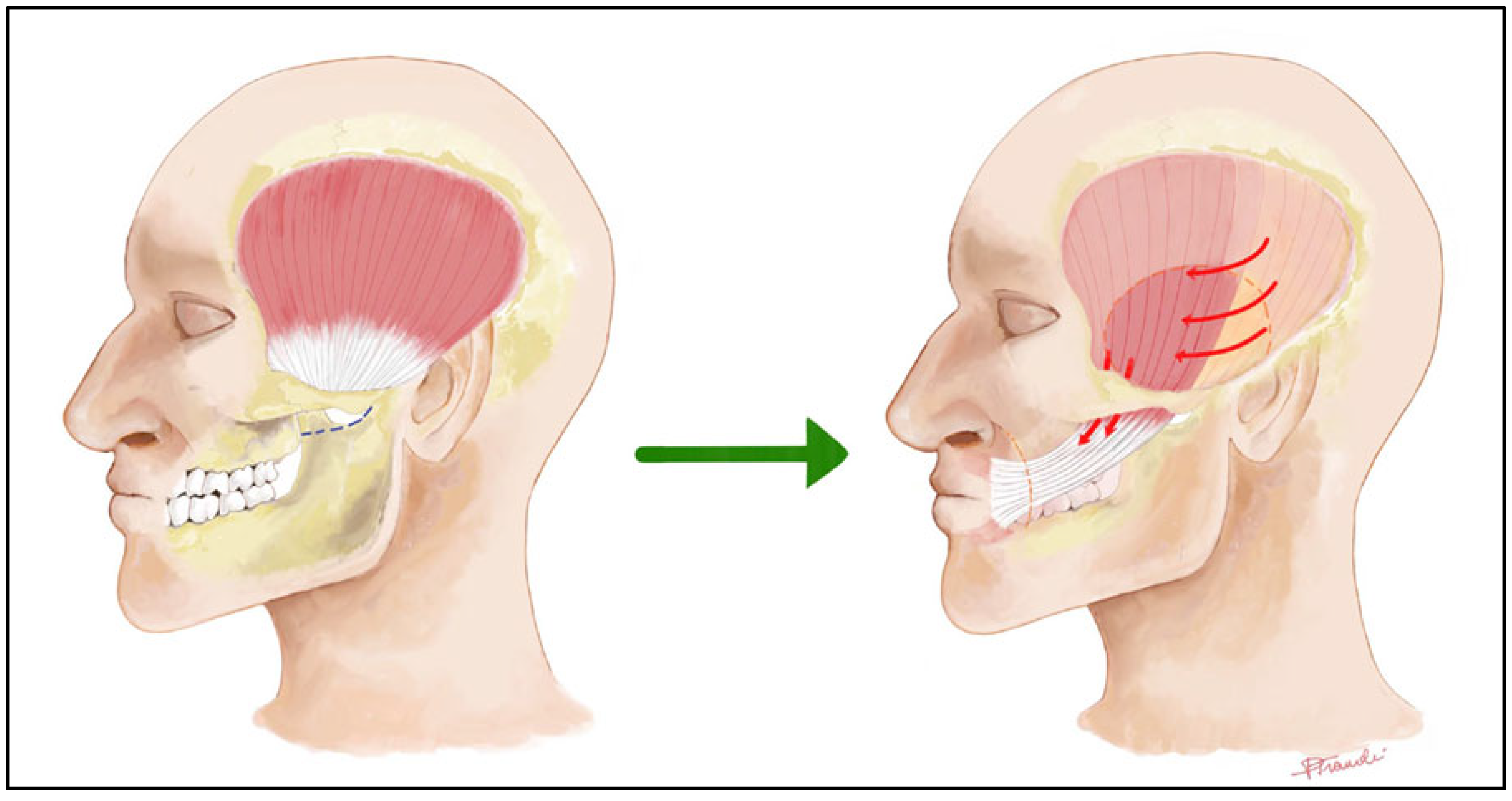 Audiolres 15 00155 g002