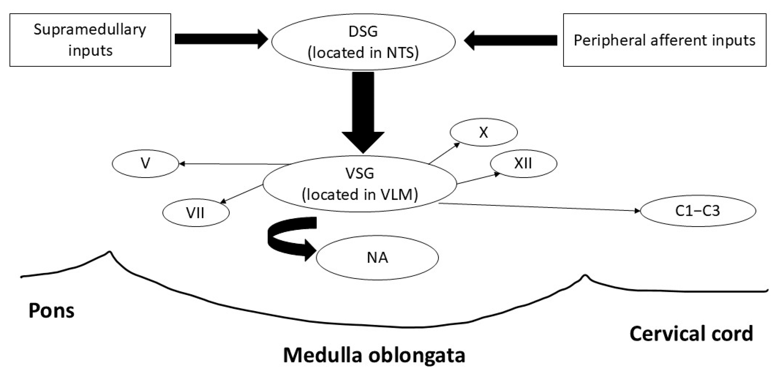 Audiolres 15 00156 g001 Audiolres 15 00156 g001