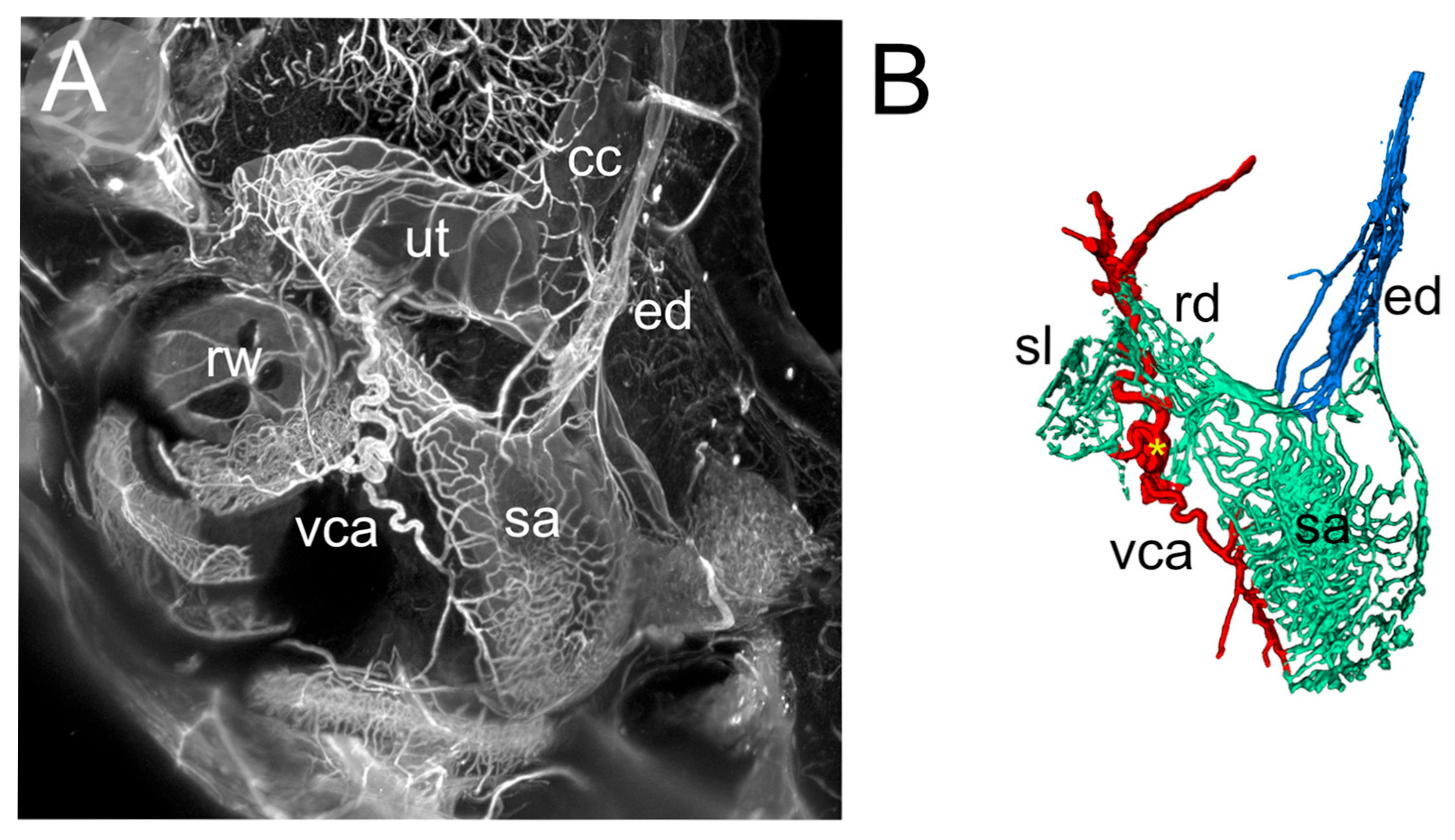 Audiolres 15 00160 g004