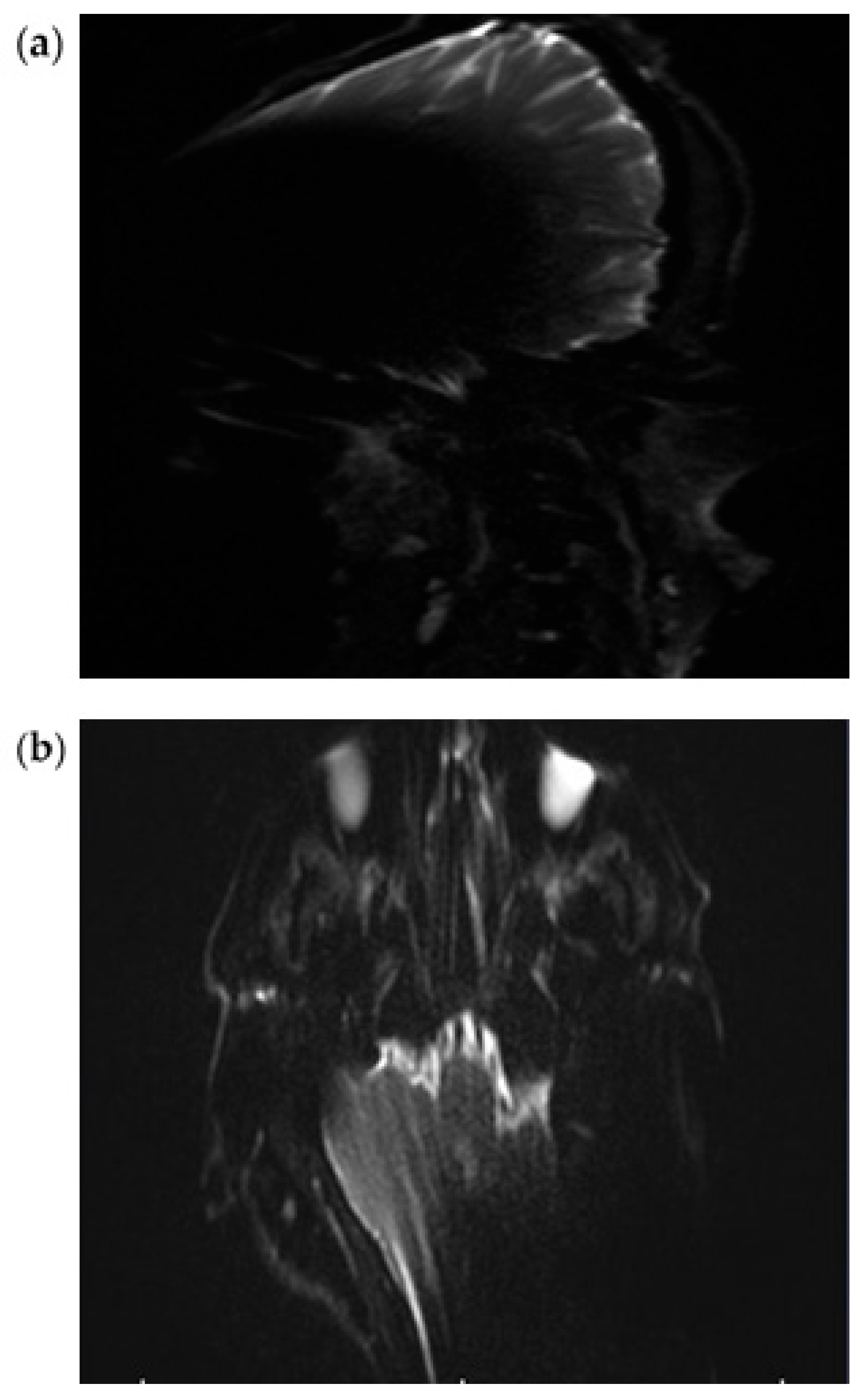 Audiolres 15 00162 g002