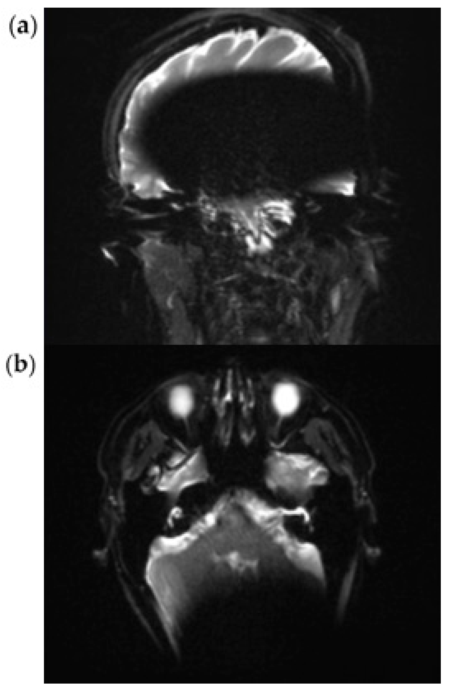 Audiolres 15 00162 g003