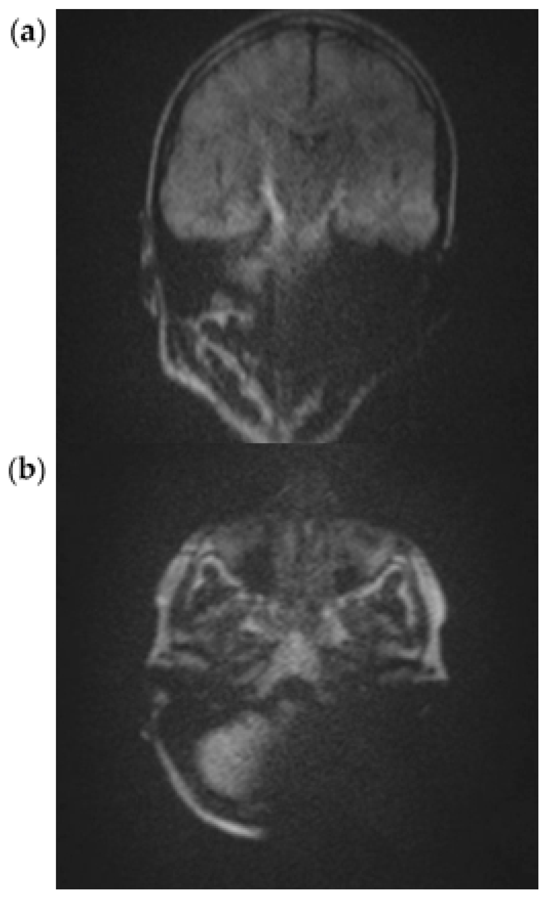 Audiolres 15 00162 g005