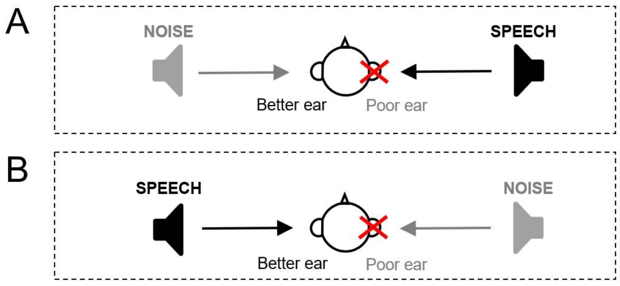 Audiolres 15 00176 g003 Audiolres 15 00176 g003
