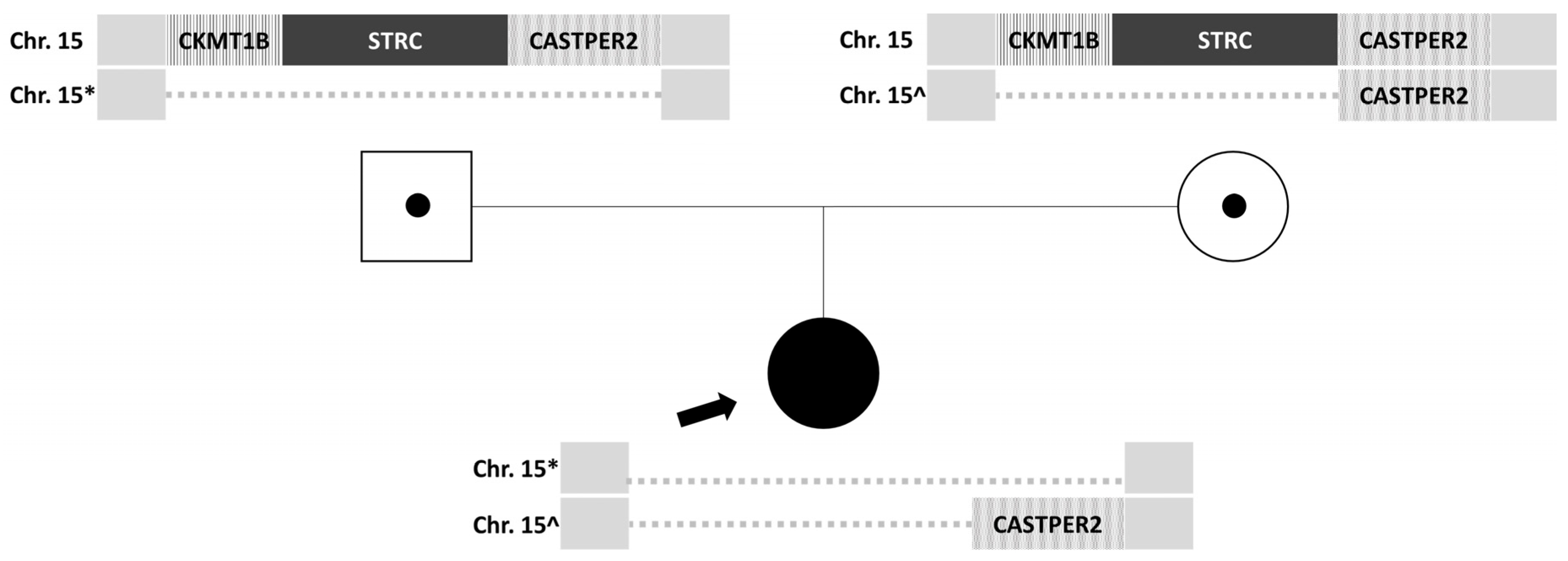 Audiolres 16 00004 g002
