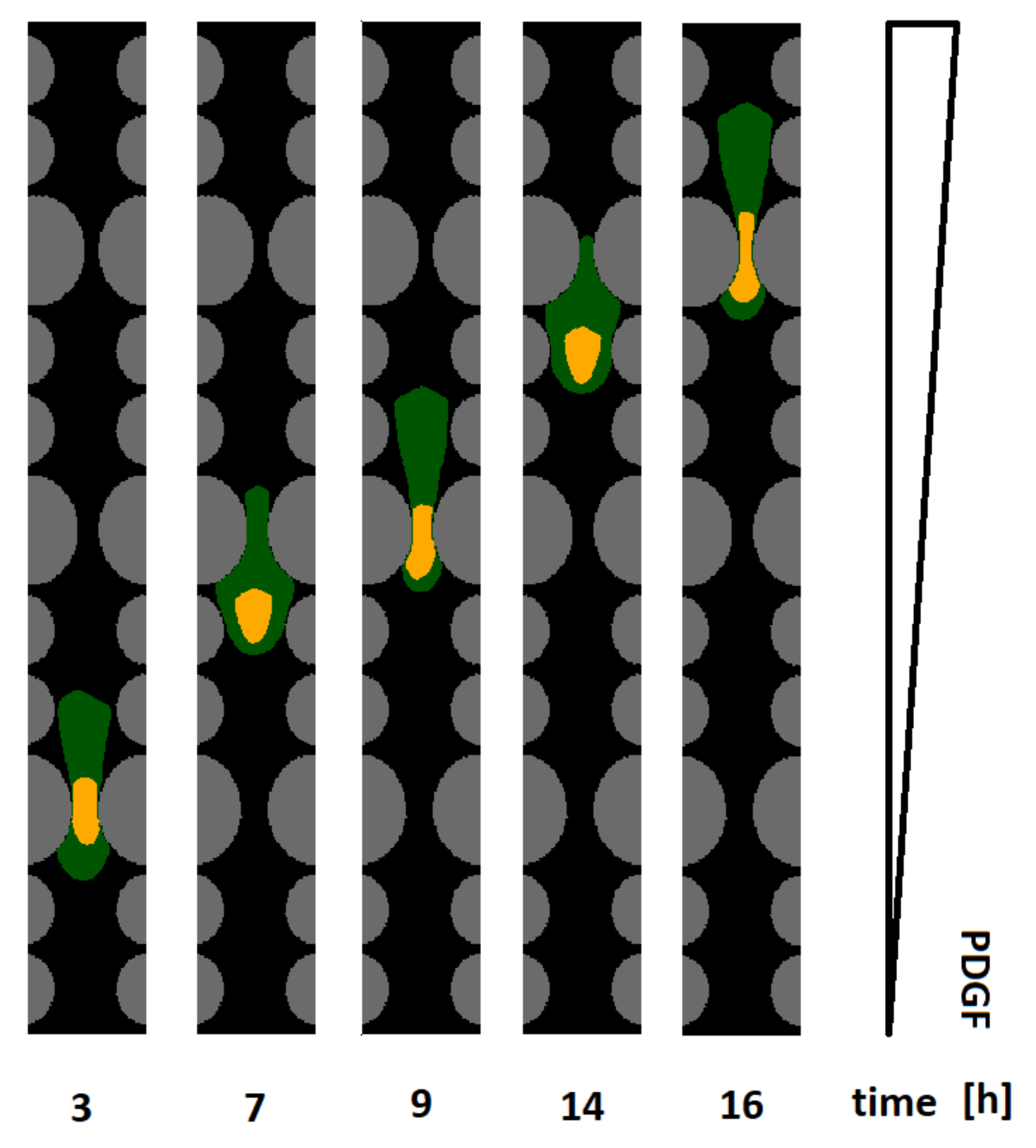 Axioms 10 00032 g007