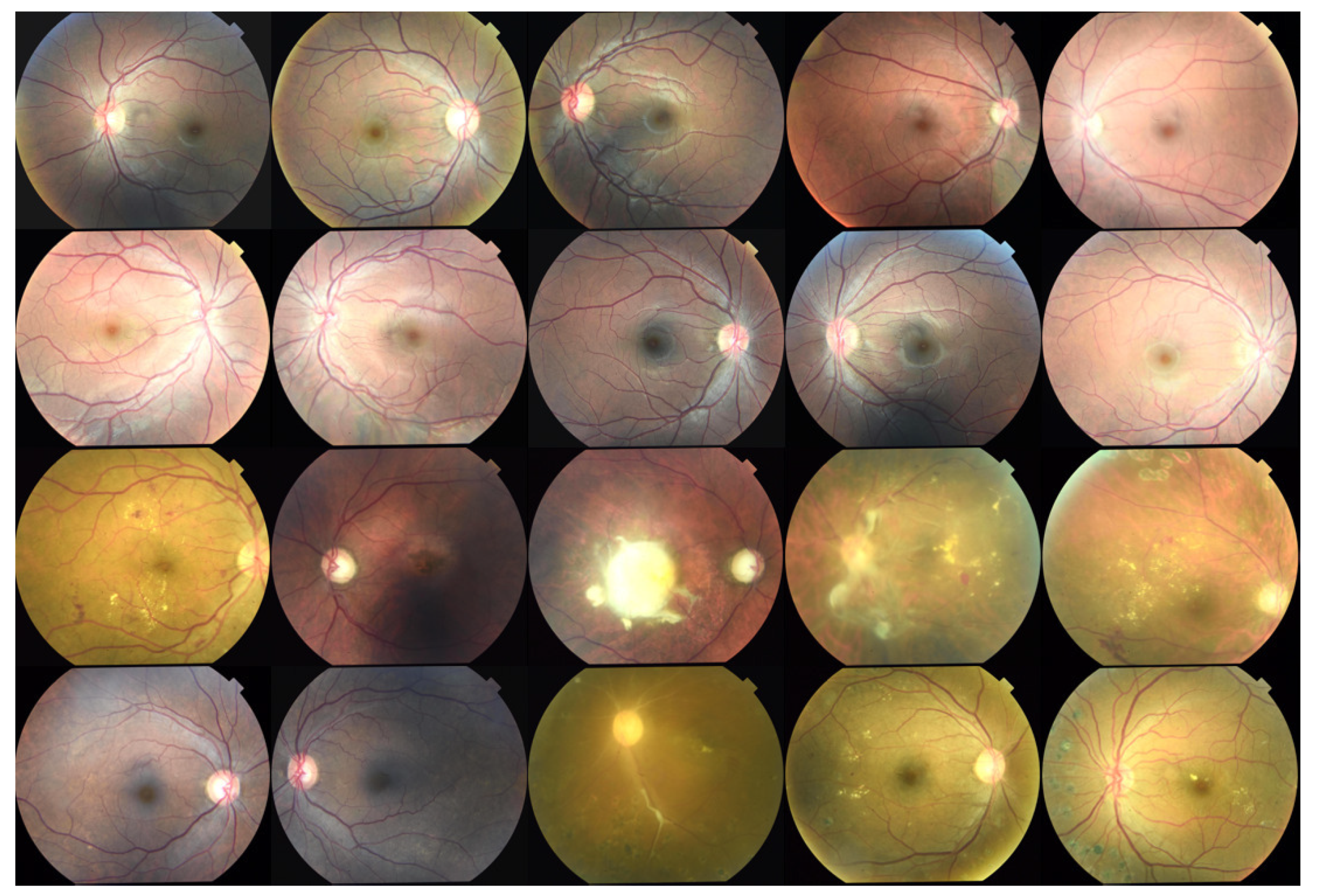 Axioms 10 00215 g001 550