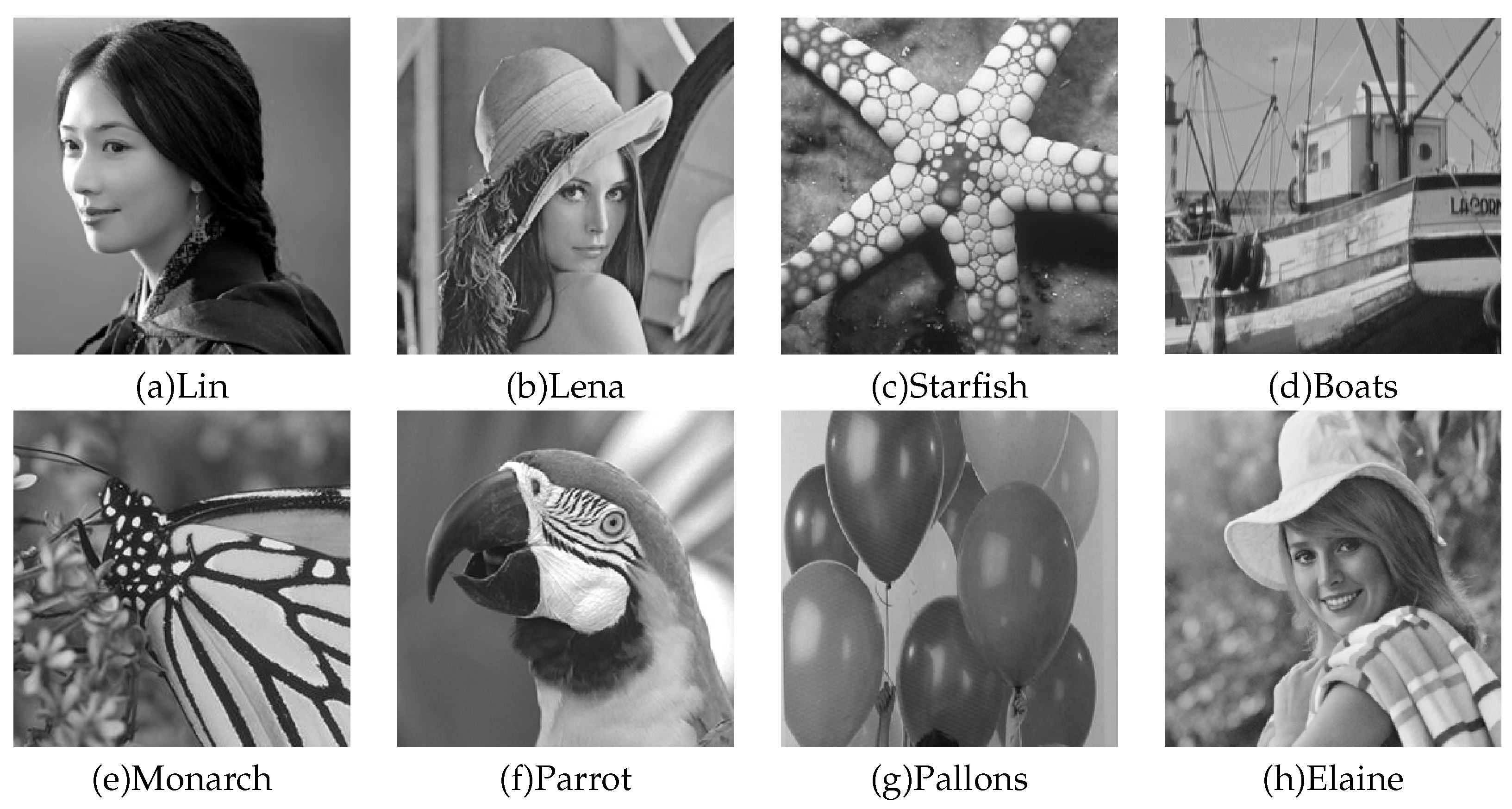 Axioms 11 00101 g001