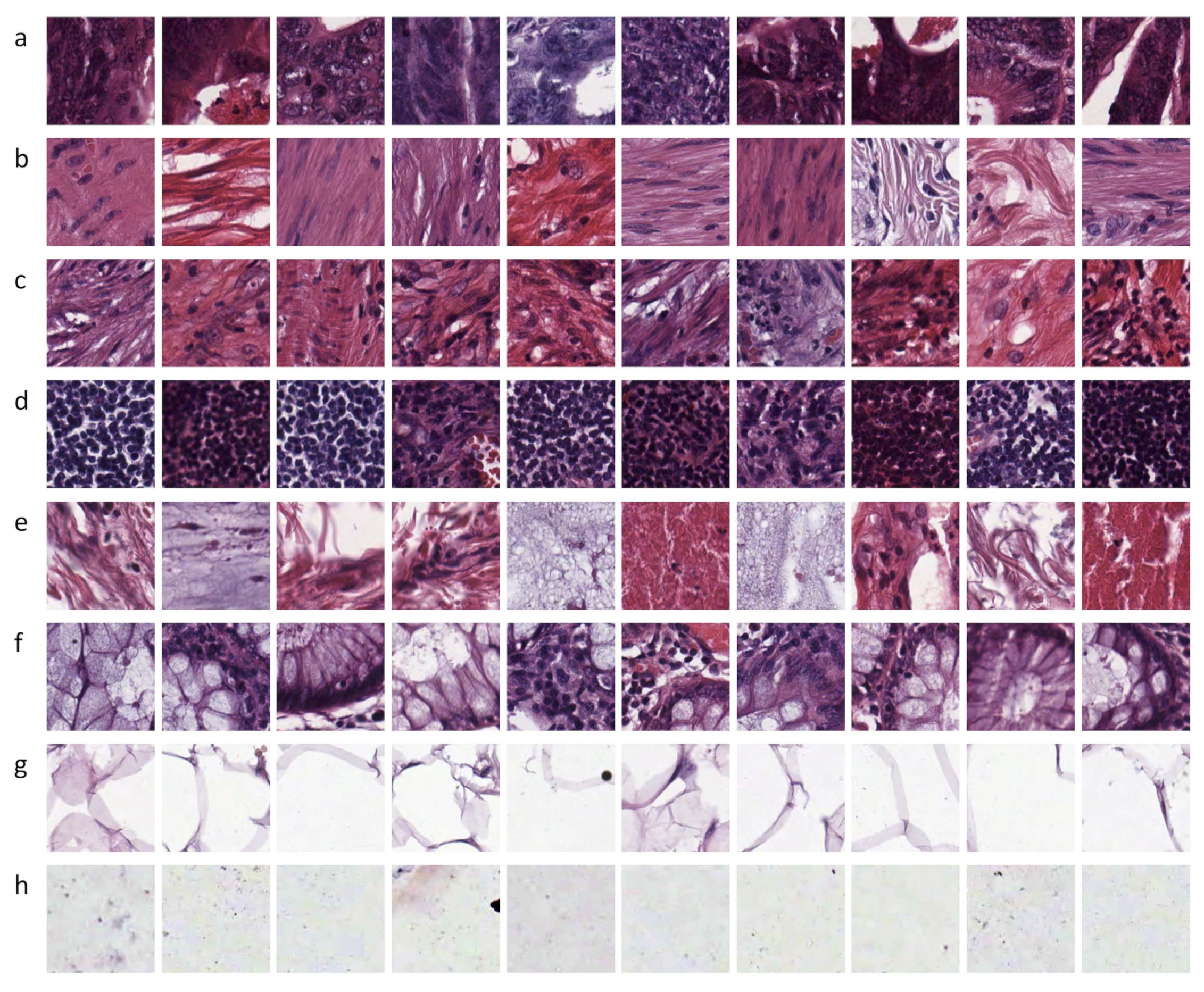 Axioms 11 00112 g010