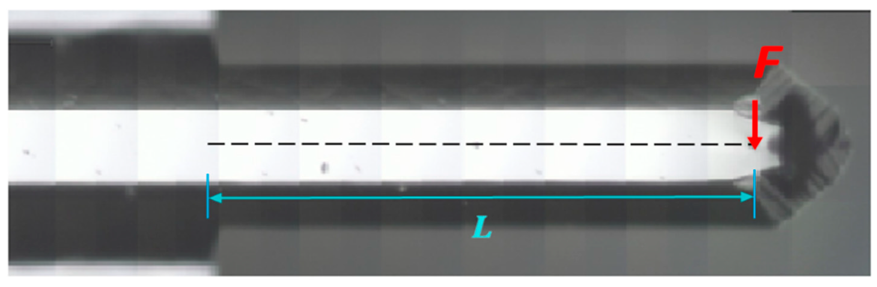 Axioms 11 00142 g001 Axioms 11 00142 g001