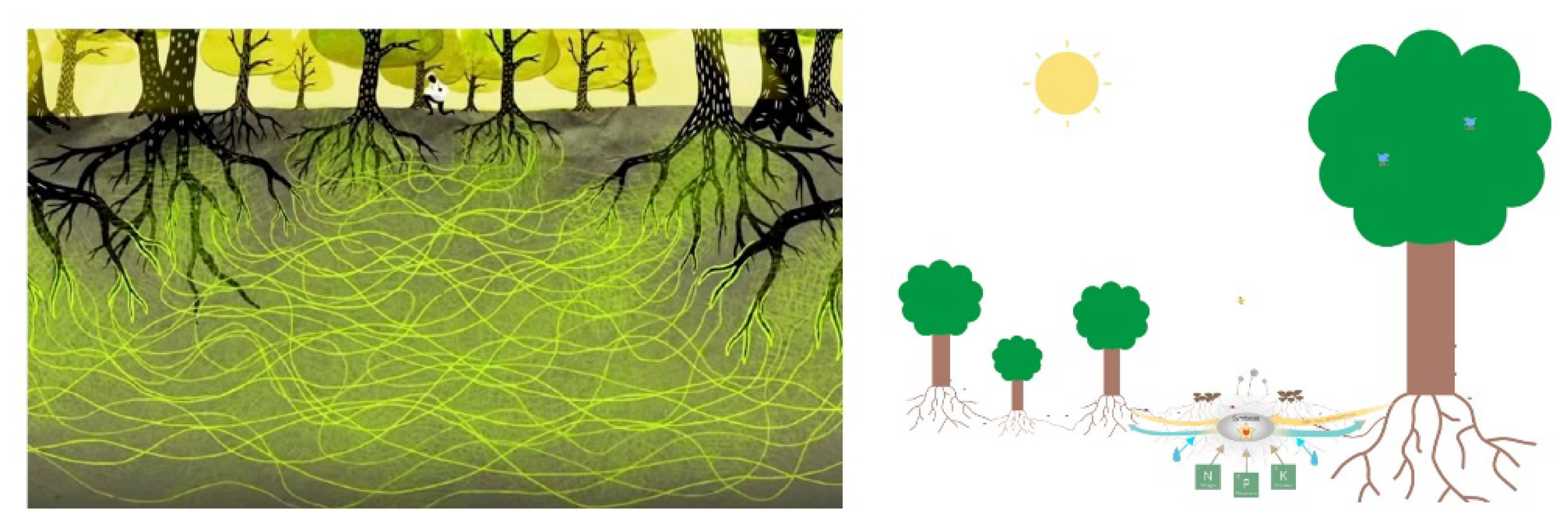 Axioms 11 00391 g001 Axioms 11 00391 g001