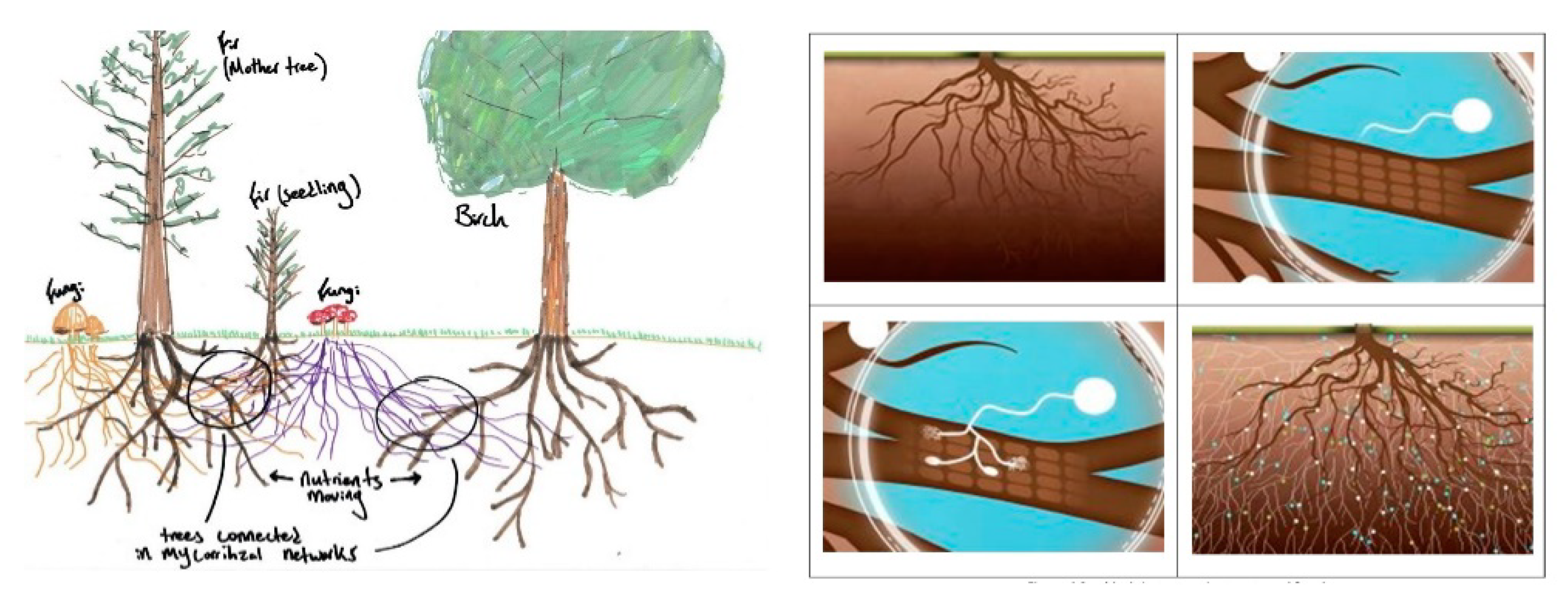 Axioms 11 00391 g002 Axioms 11 00391 g002