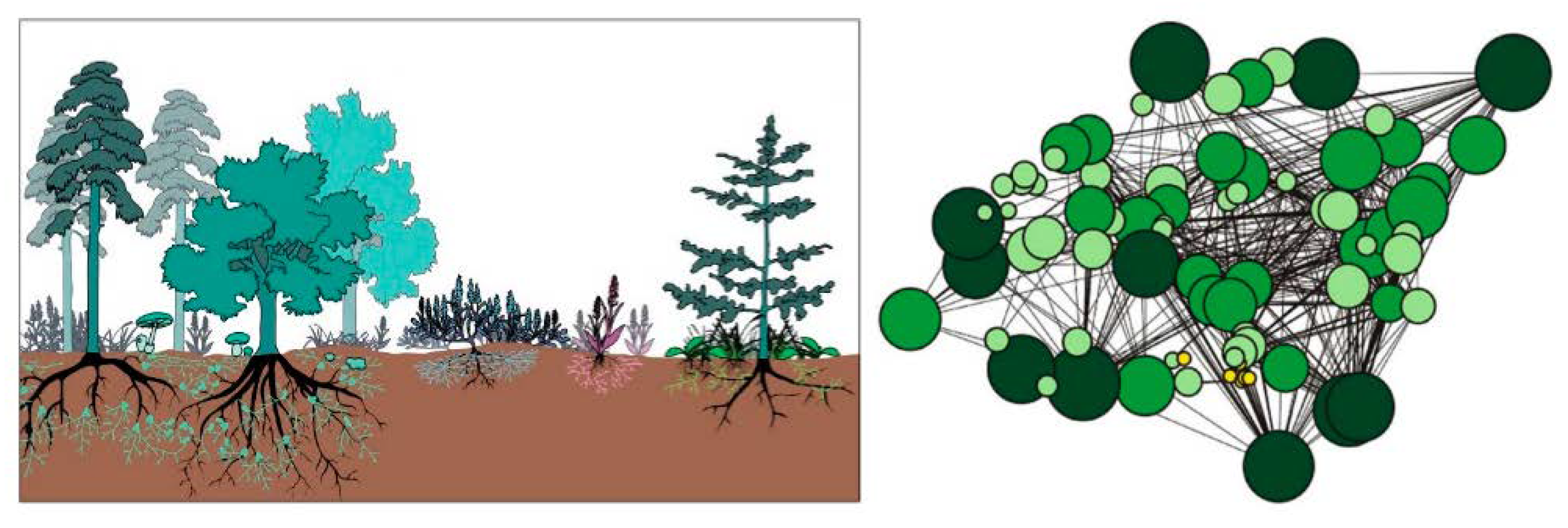 Axioms 11 00391 g003 Axioms 11 00391 g003