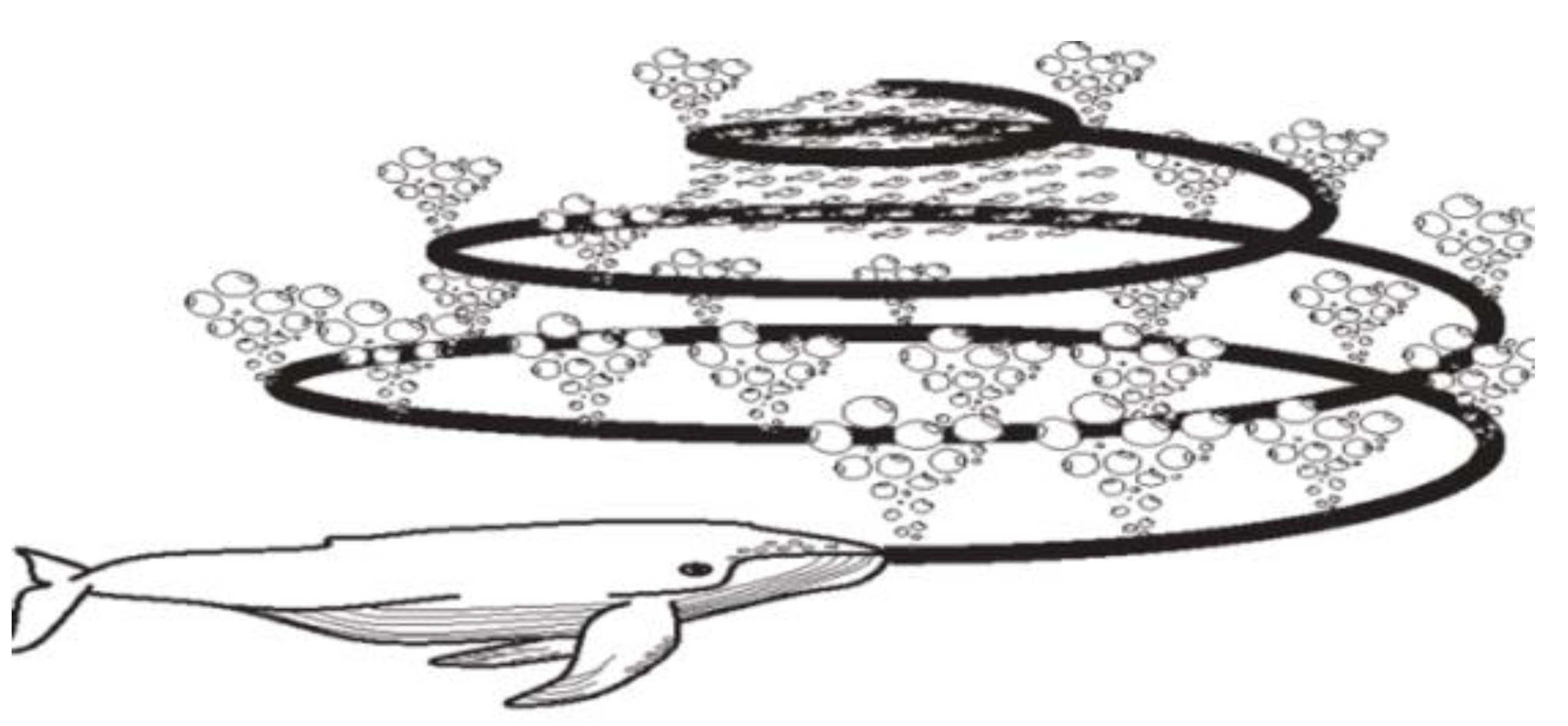 Axioms 11 00456 g003