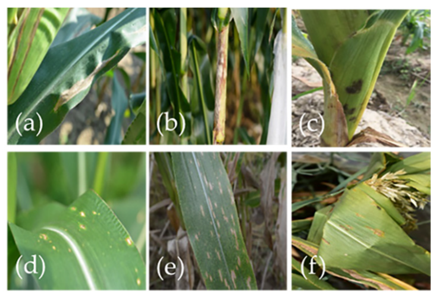 Axioms 11 00480 g001