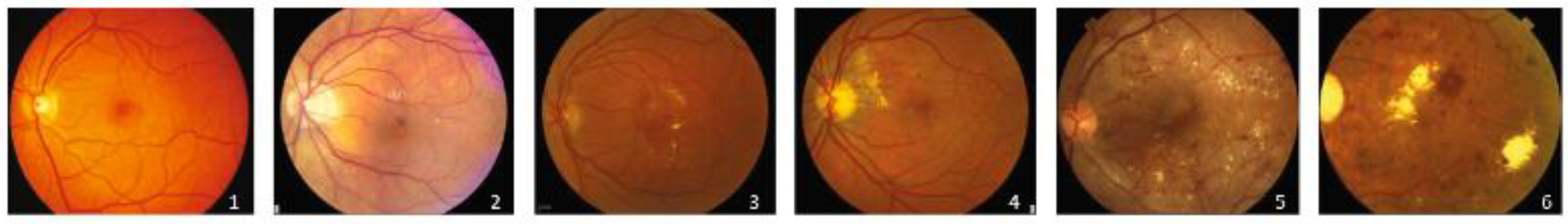 Axioms 11 00614 g001