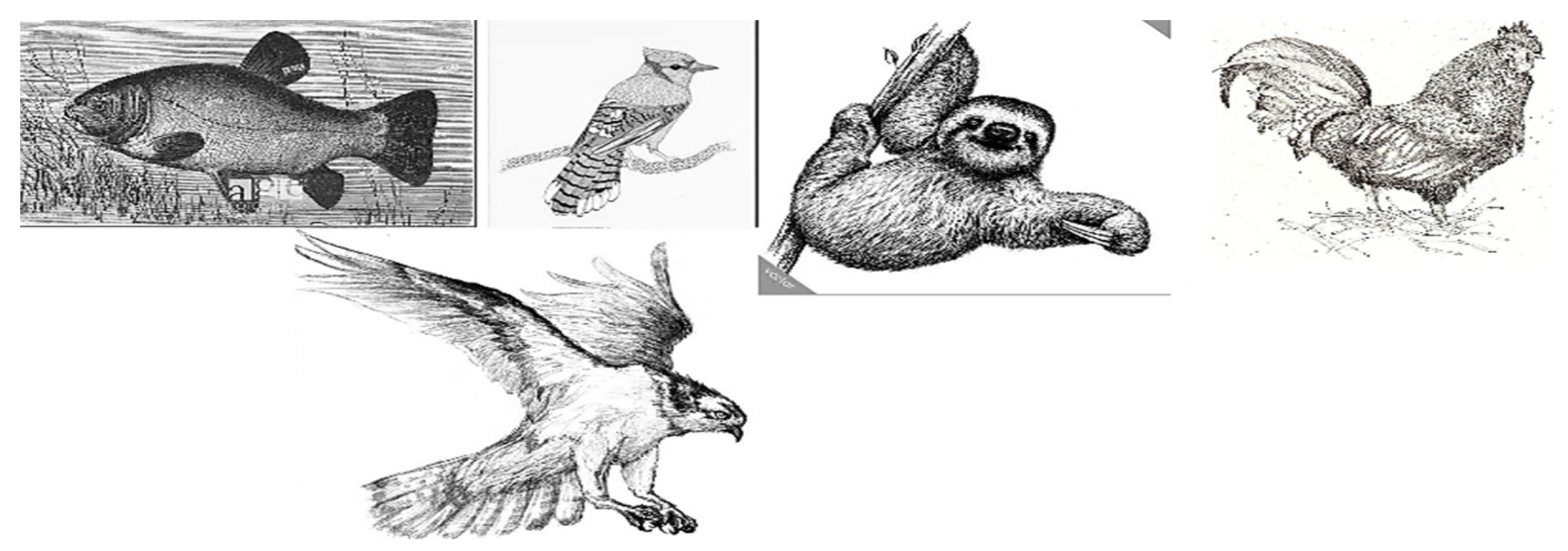 Axioms 11 00663 g002