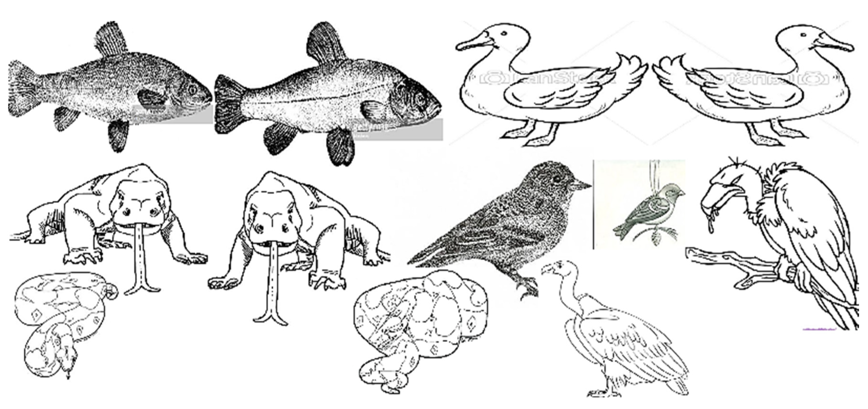 Axioms 11 00663 g005