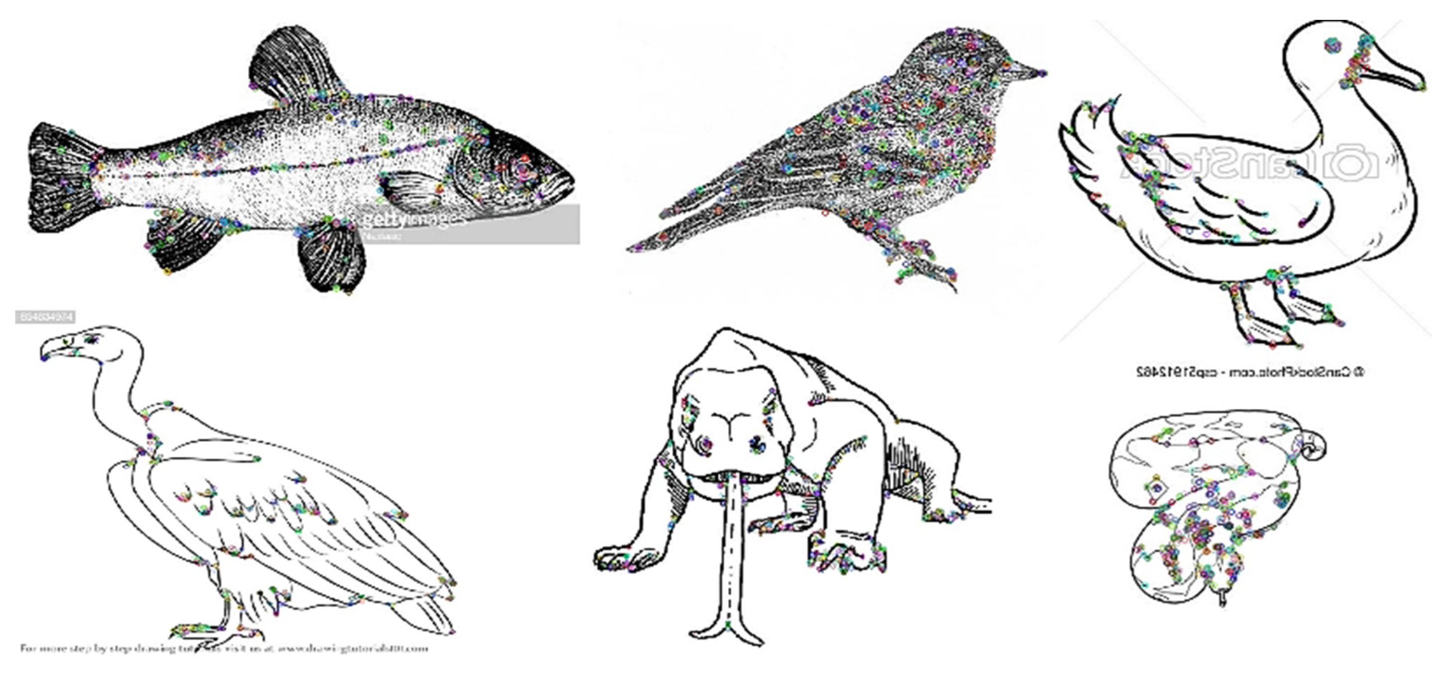 Axioms 11 00663 g007