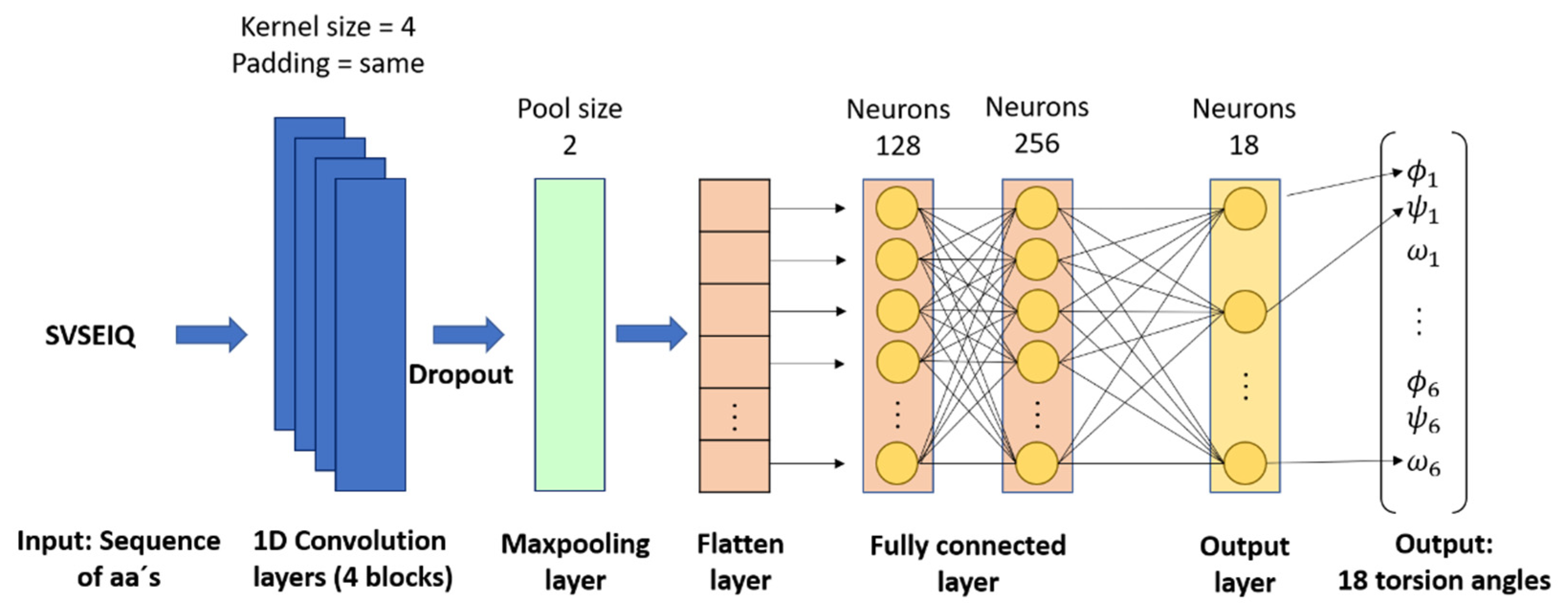 A Peptides Prediction Methodology with Fragments and CNN for Tertiary ...