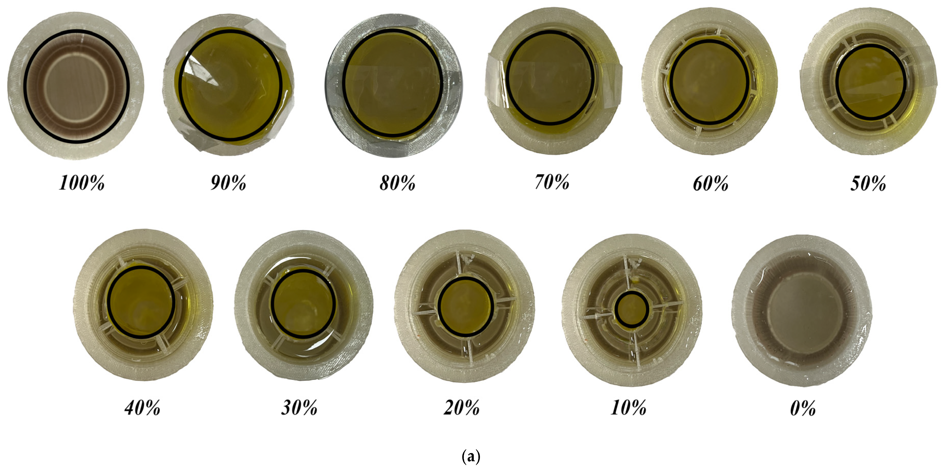 Axioms 12 00066 g006a Axioms 12 00066 g006a