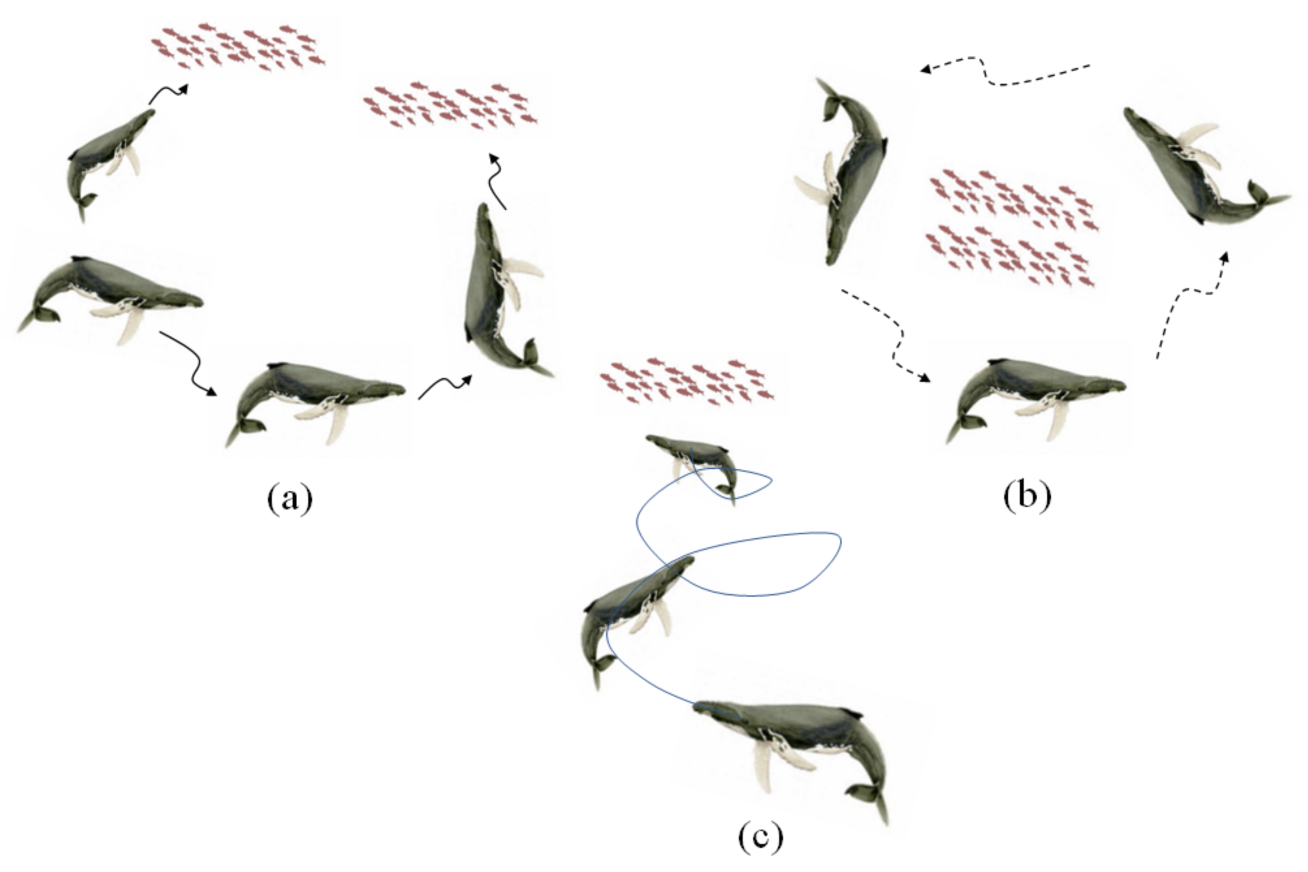 Axioms 12 00252 g005 Axioms 12 00252 g005