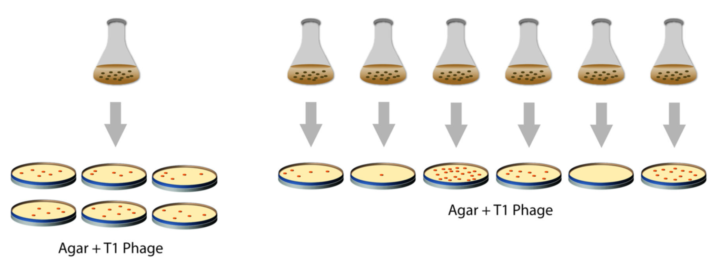 Axioms 12 00280 g002 Axioms 12 00280 g002