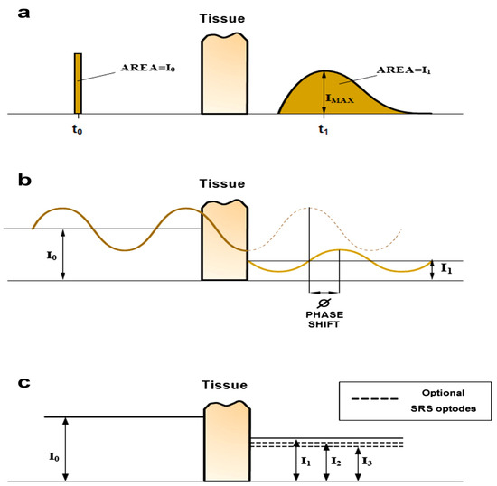 Advancements in Numerical Methods for Forward and Inverse Problems 
