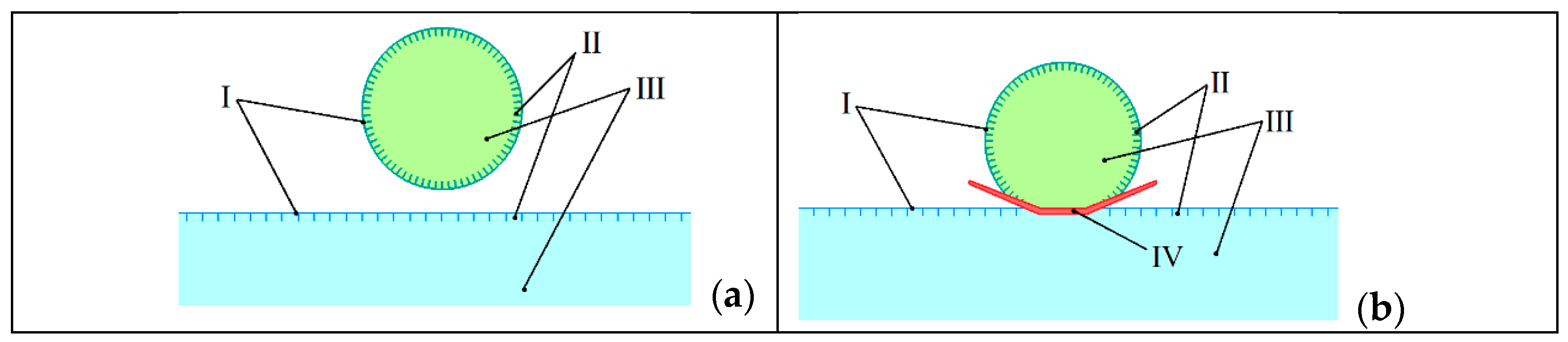 Axioms 12 00374 g015