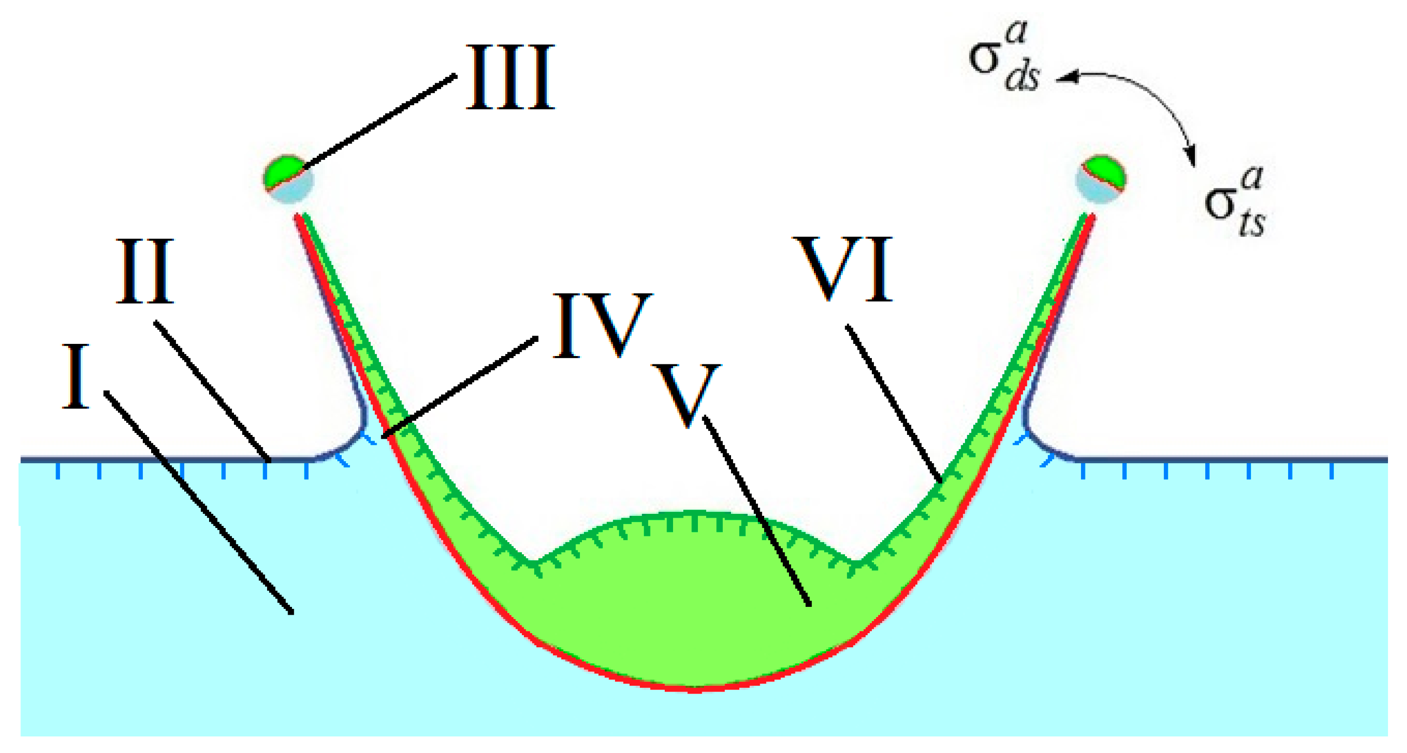 Axioms 12 00374 g019
